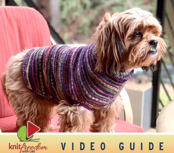 There's a Video for That! Seamless Dog Sweater Video Class
