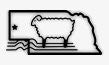 Brown Sheep