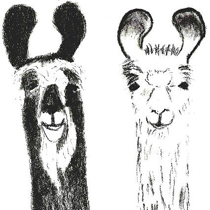 Illimani