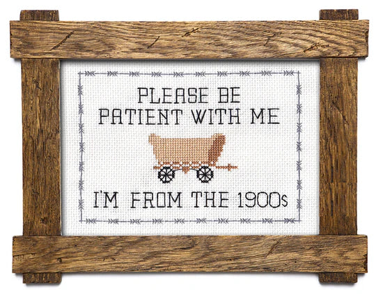 Subversive Cross Stitch Kits