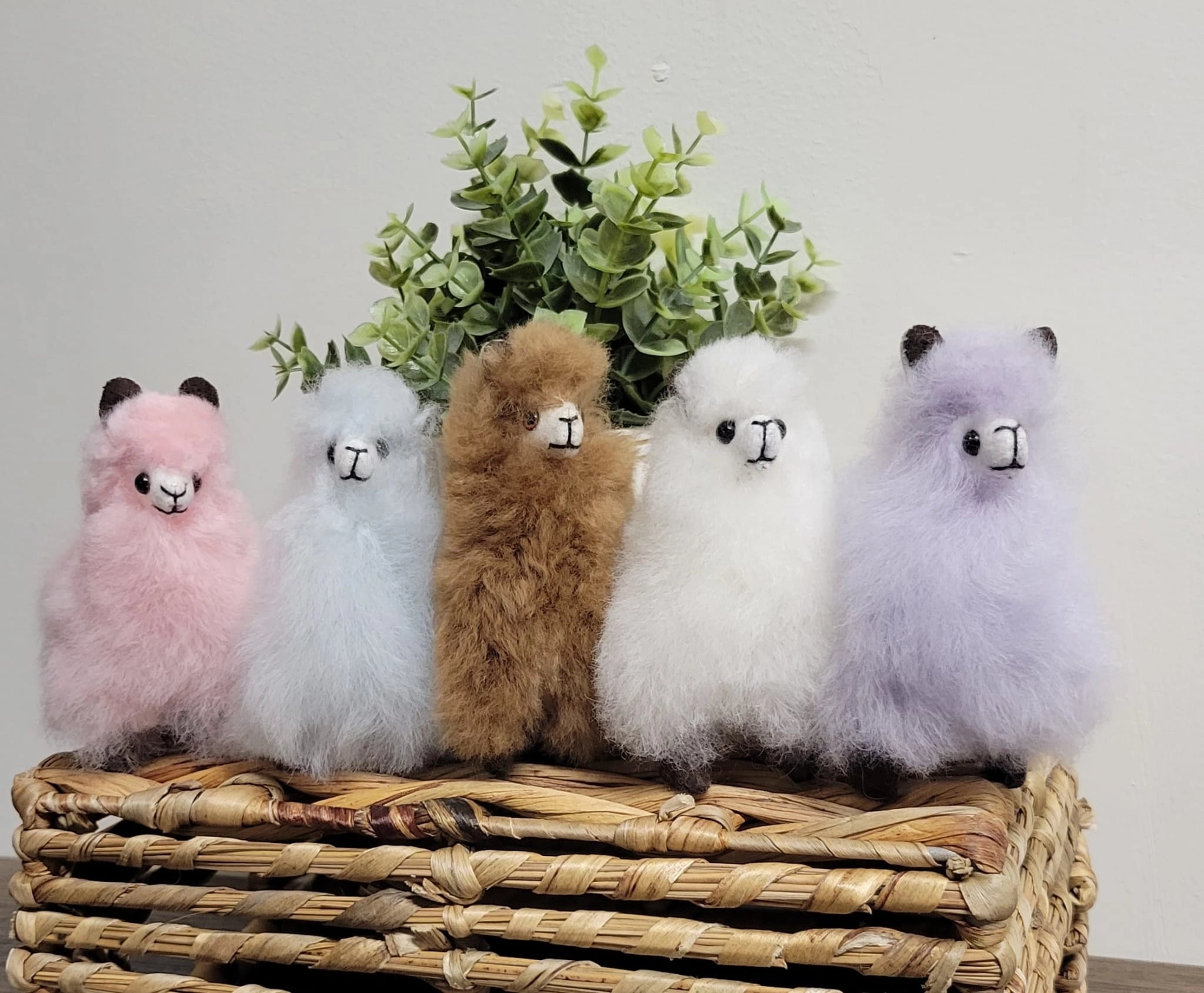 Alpaca Stuffie