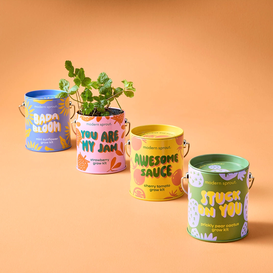 Modern Sprout Grow Kits