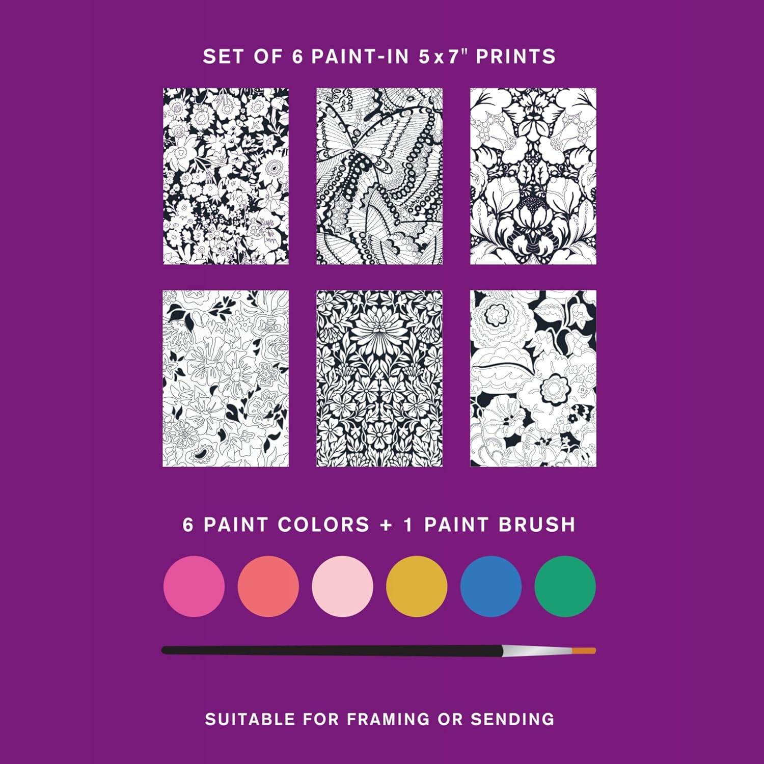 Galison Paint-in Print Set (Set of 6 Paint-in Prints)