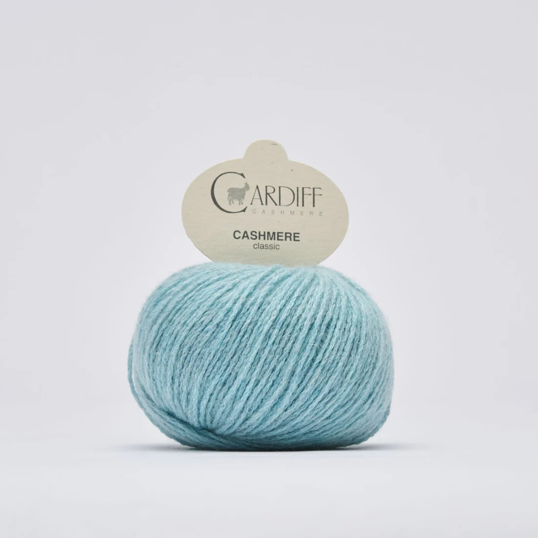 Cardiff Cashmere Classic*