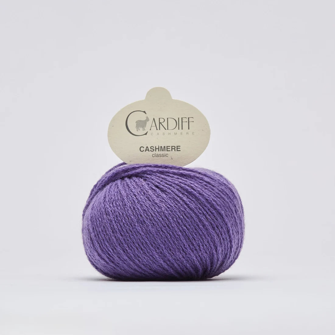 Cardiff Cashmere Classic*