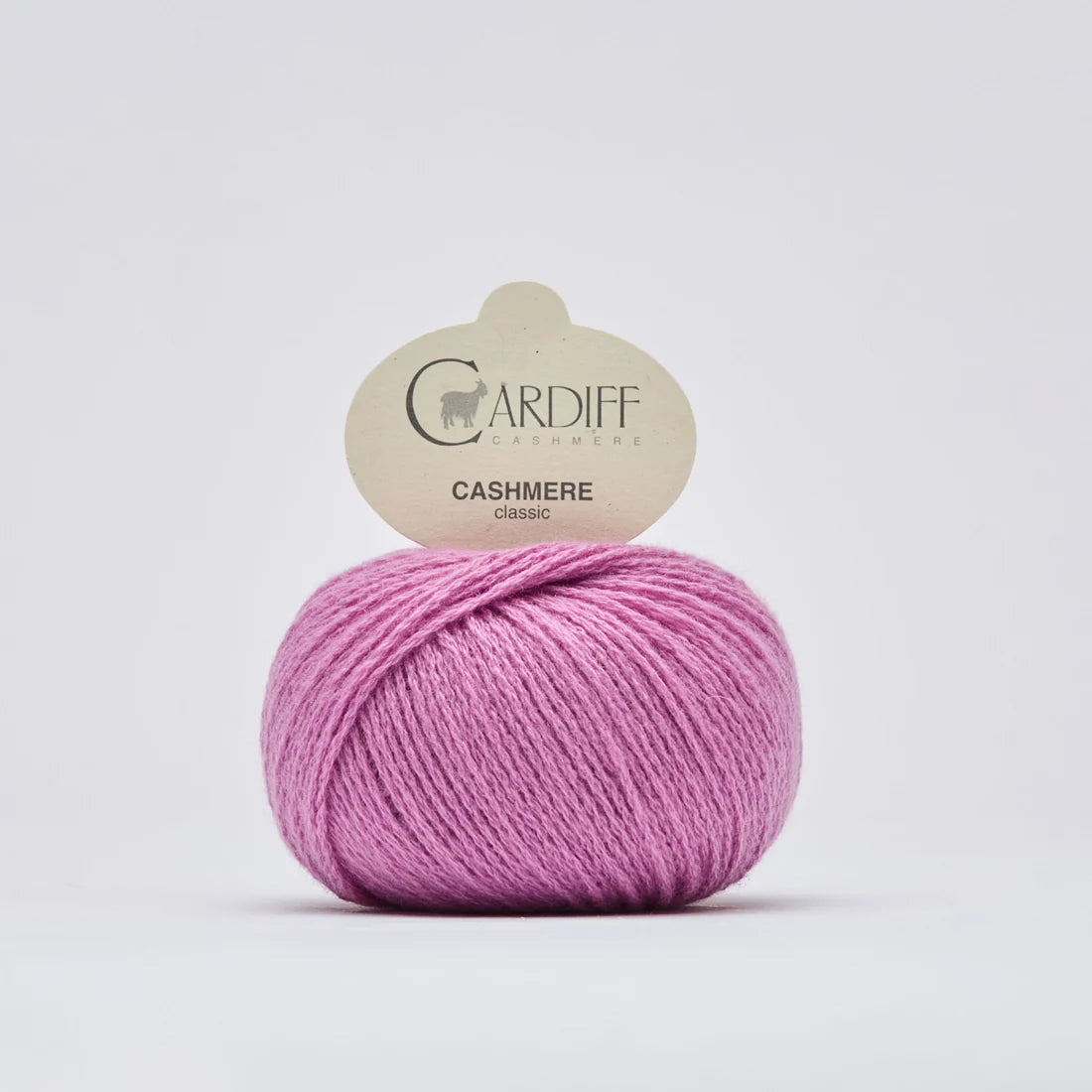 Cardiff Cashmere Classic*