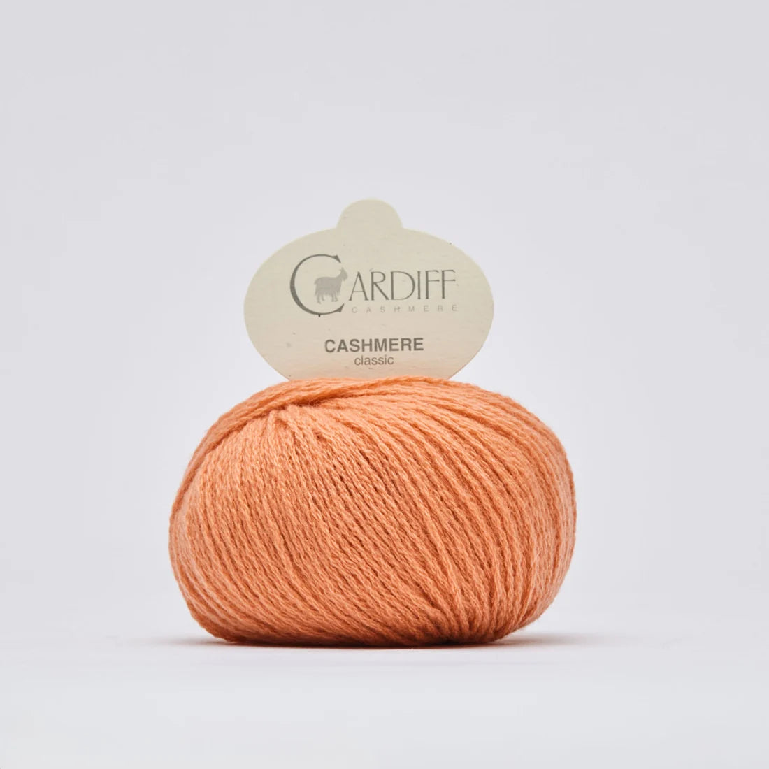Cardiff Cashmere Classic*