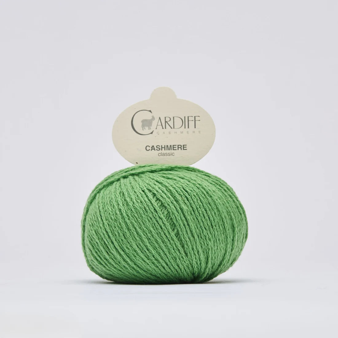 Cardiff Cashmere Classic*