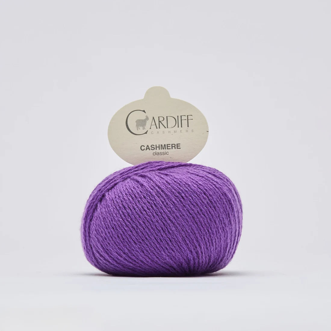 Cardiff Cashmere Classic*