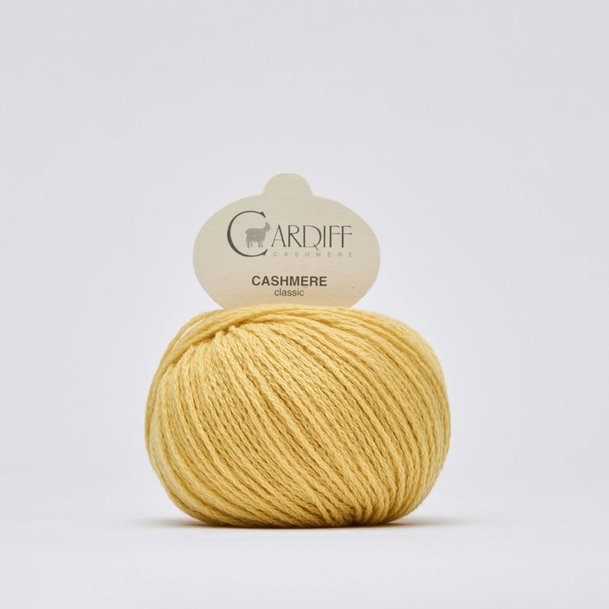 Cardiff Cashmere Classic*