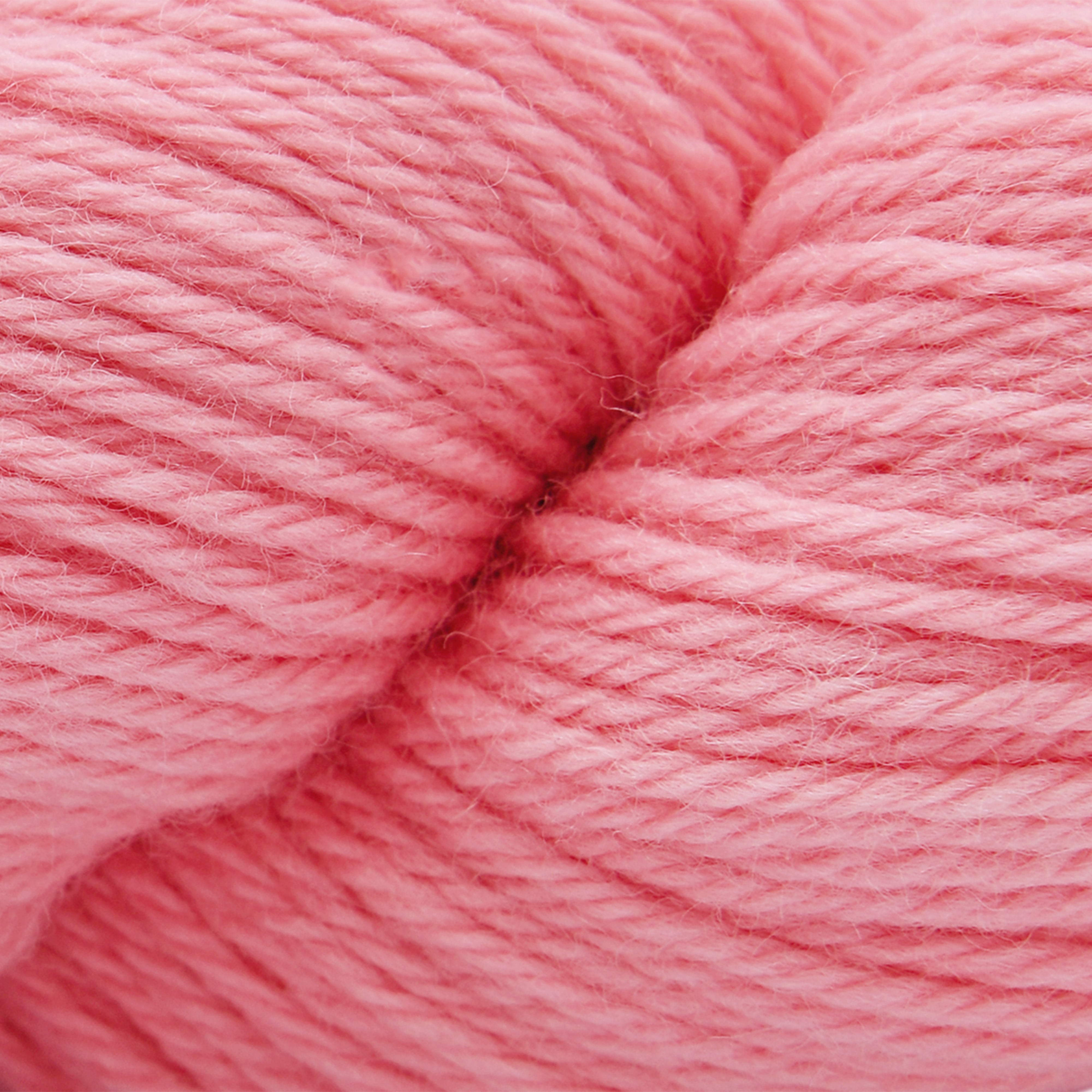 Cascade 220 (1000-8499)