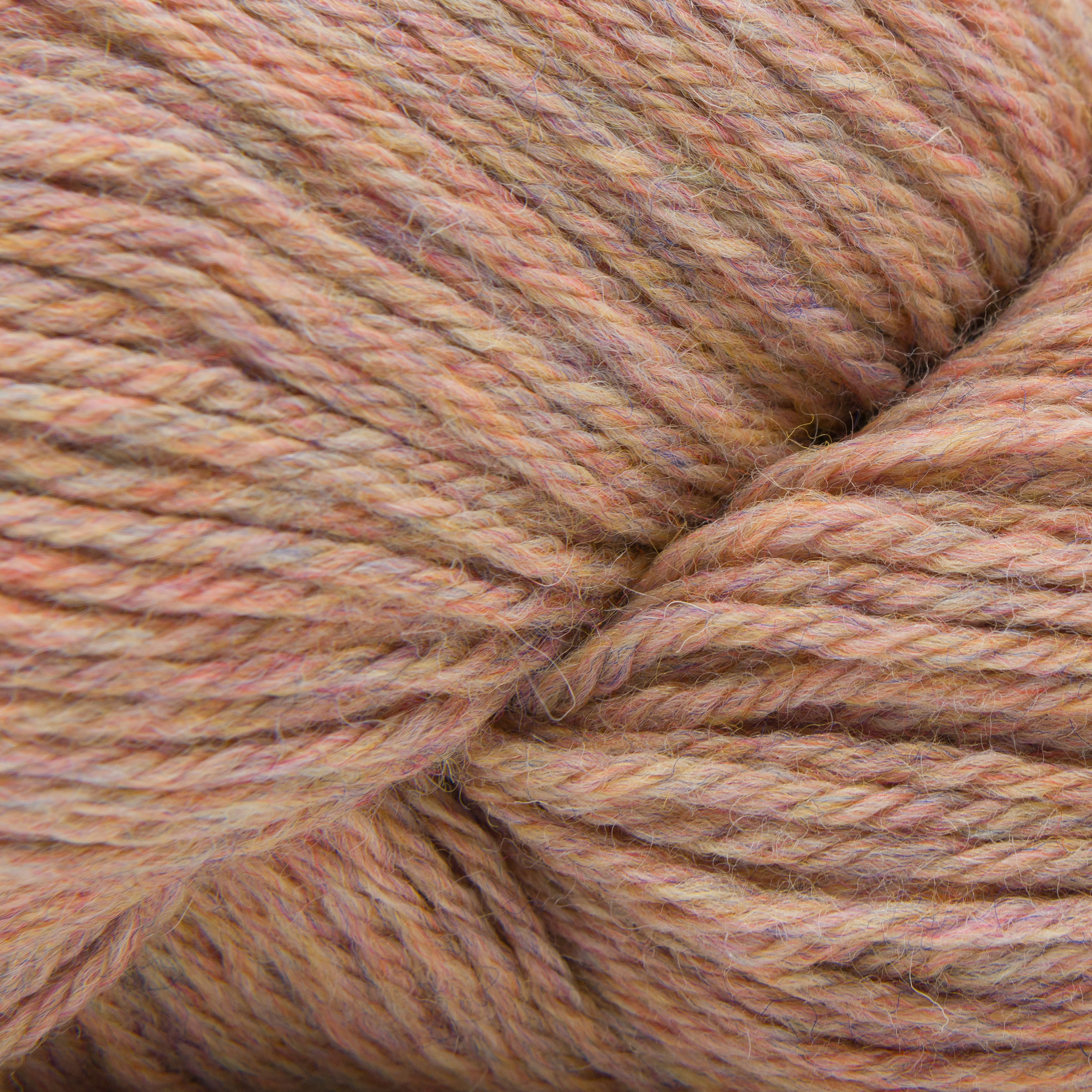 Cascade 220 (1000-8499)