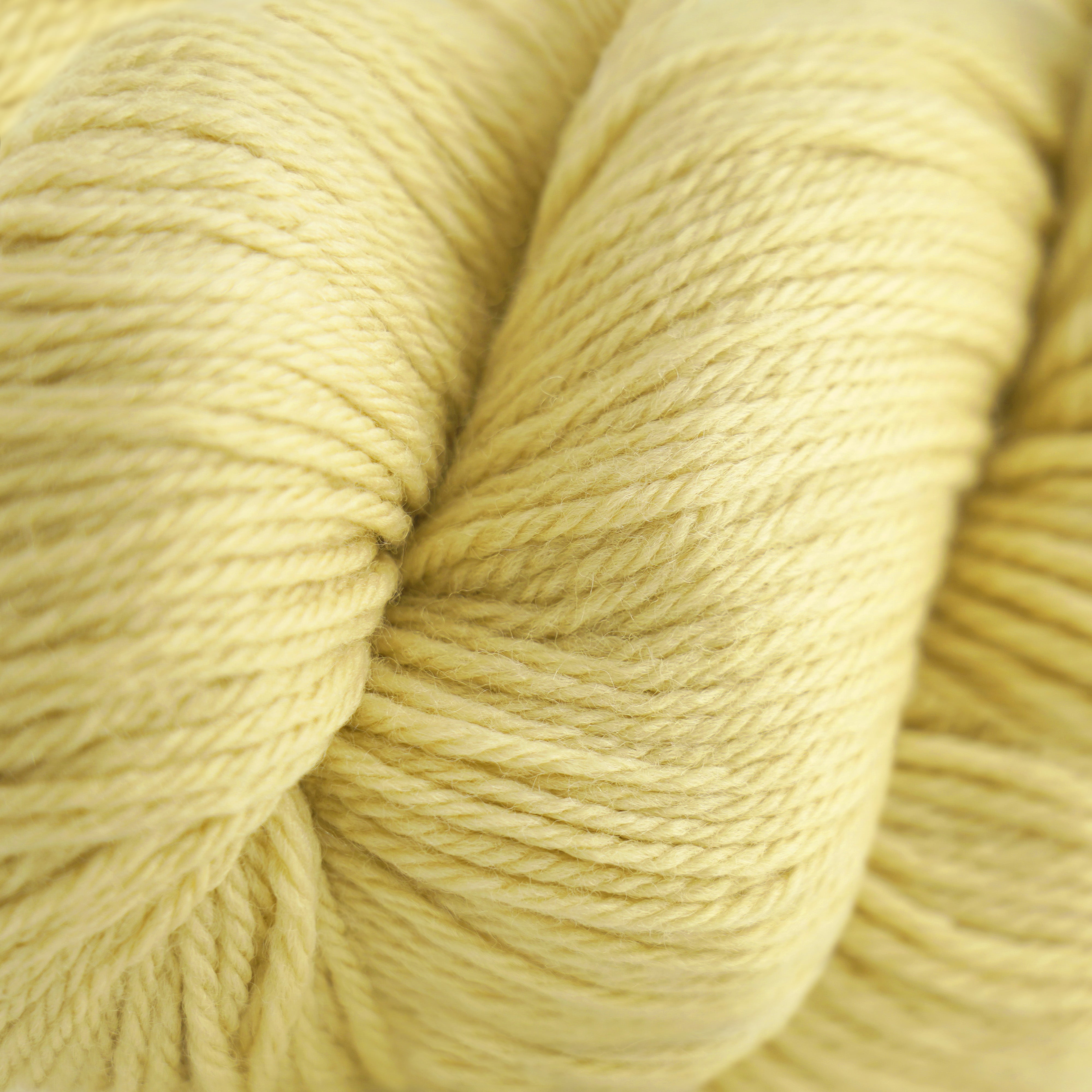 Cascade 220 (8500-9999)