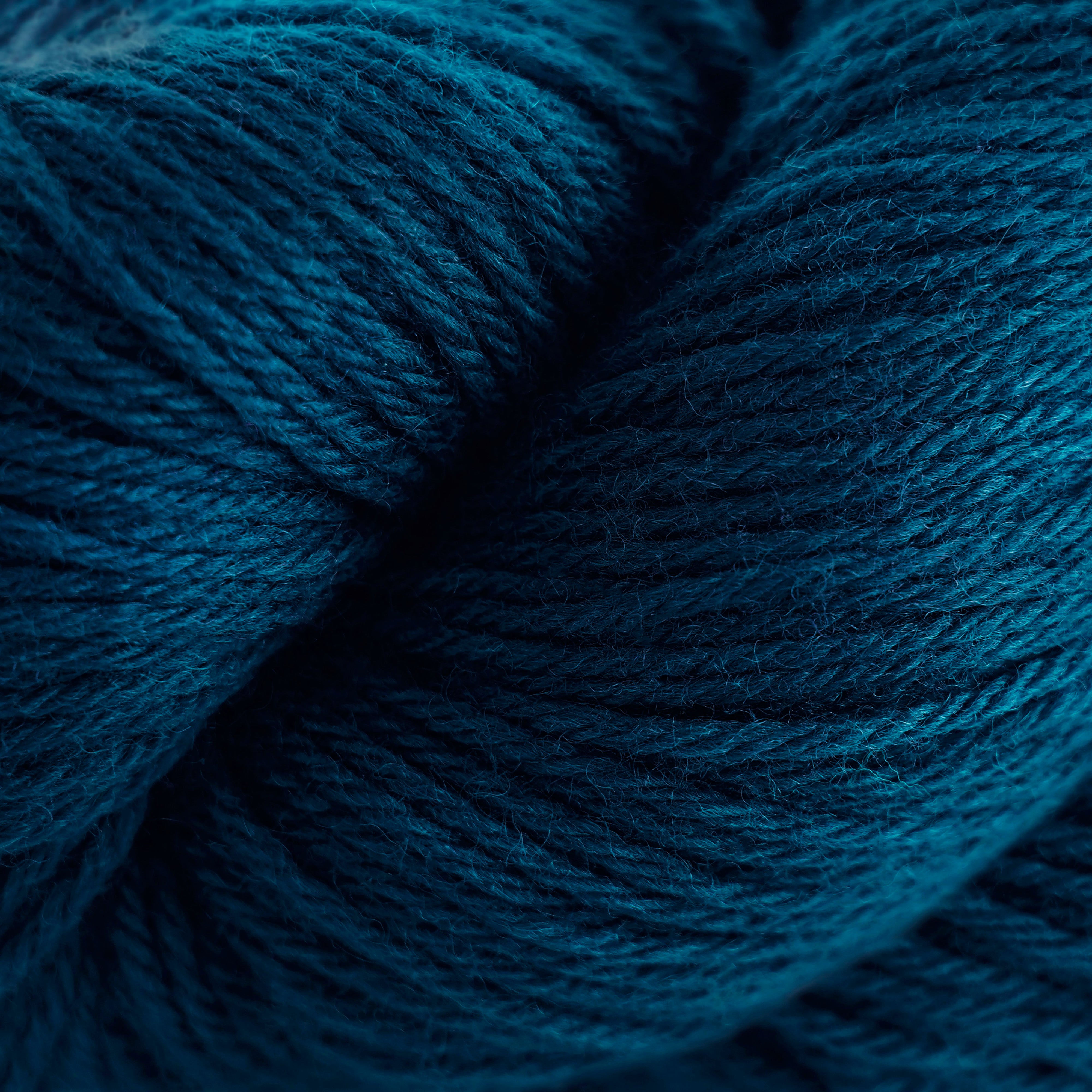 Cascade 220 (8500-9999)