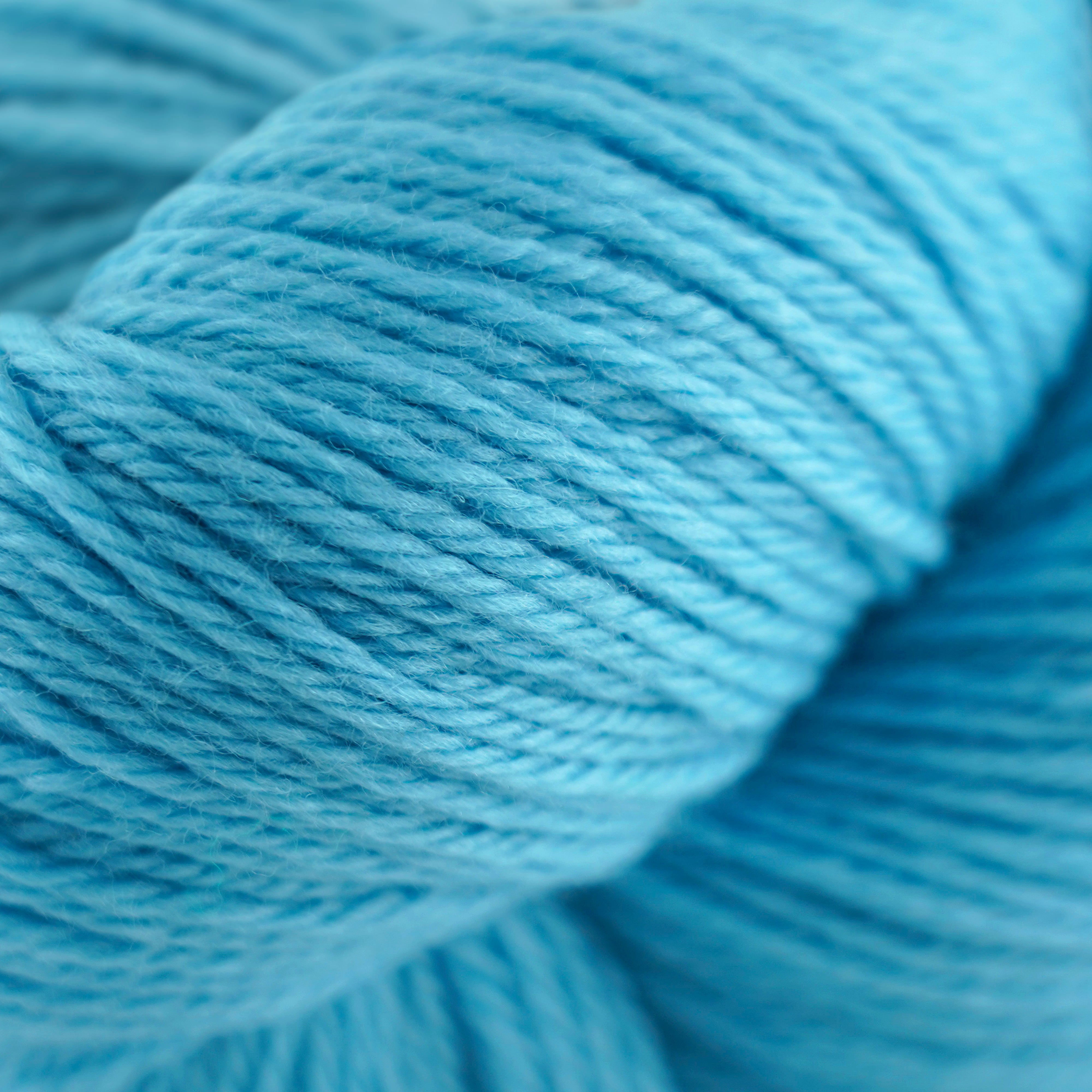 Cascade 220 (8500-9999)