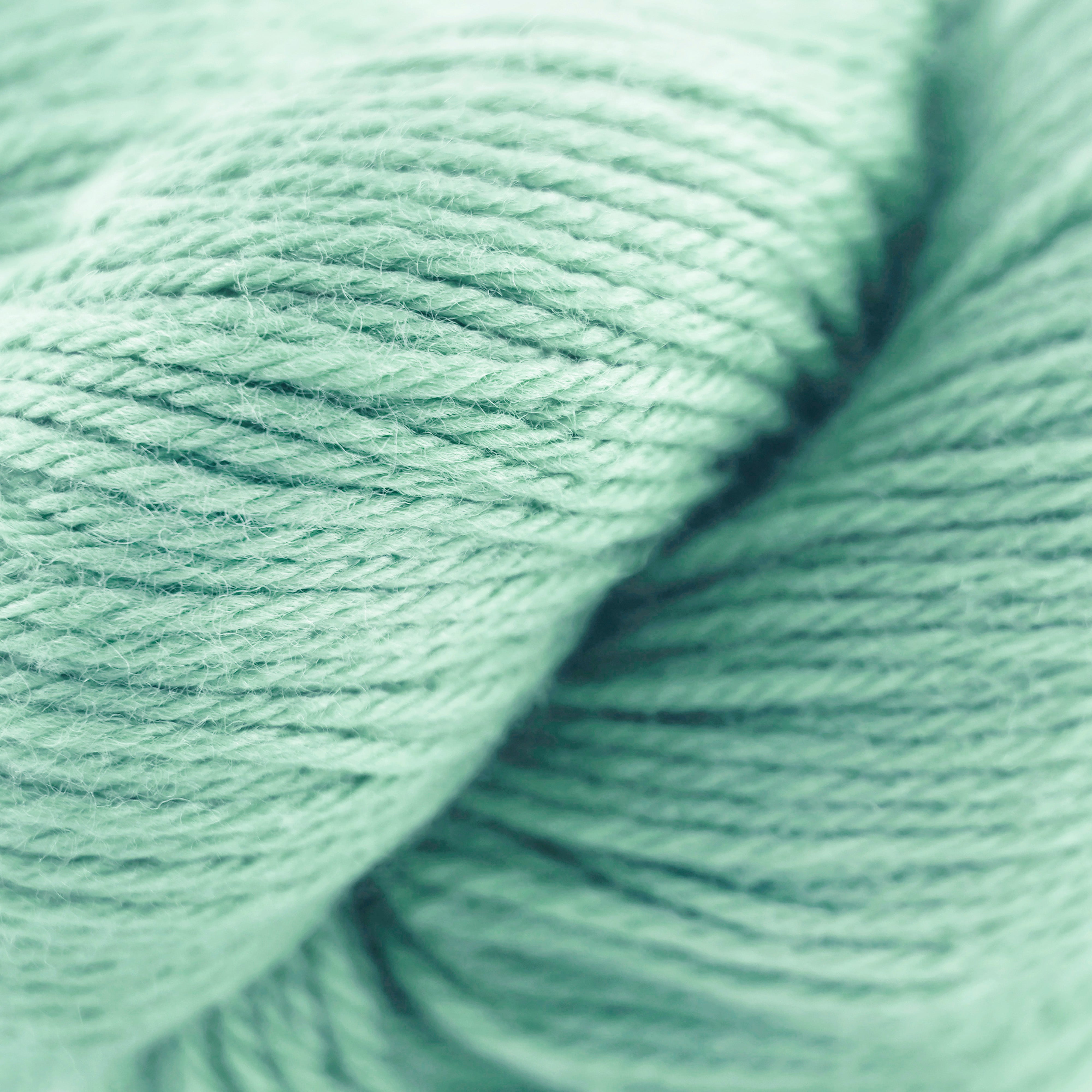 Cascade 220 (8500-9999)