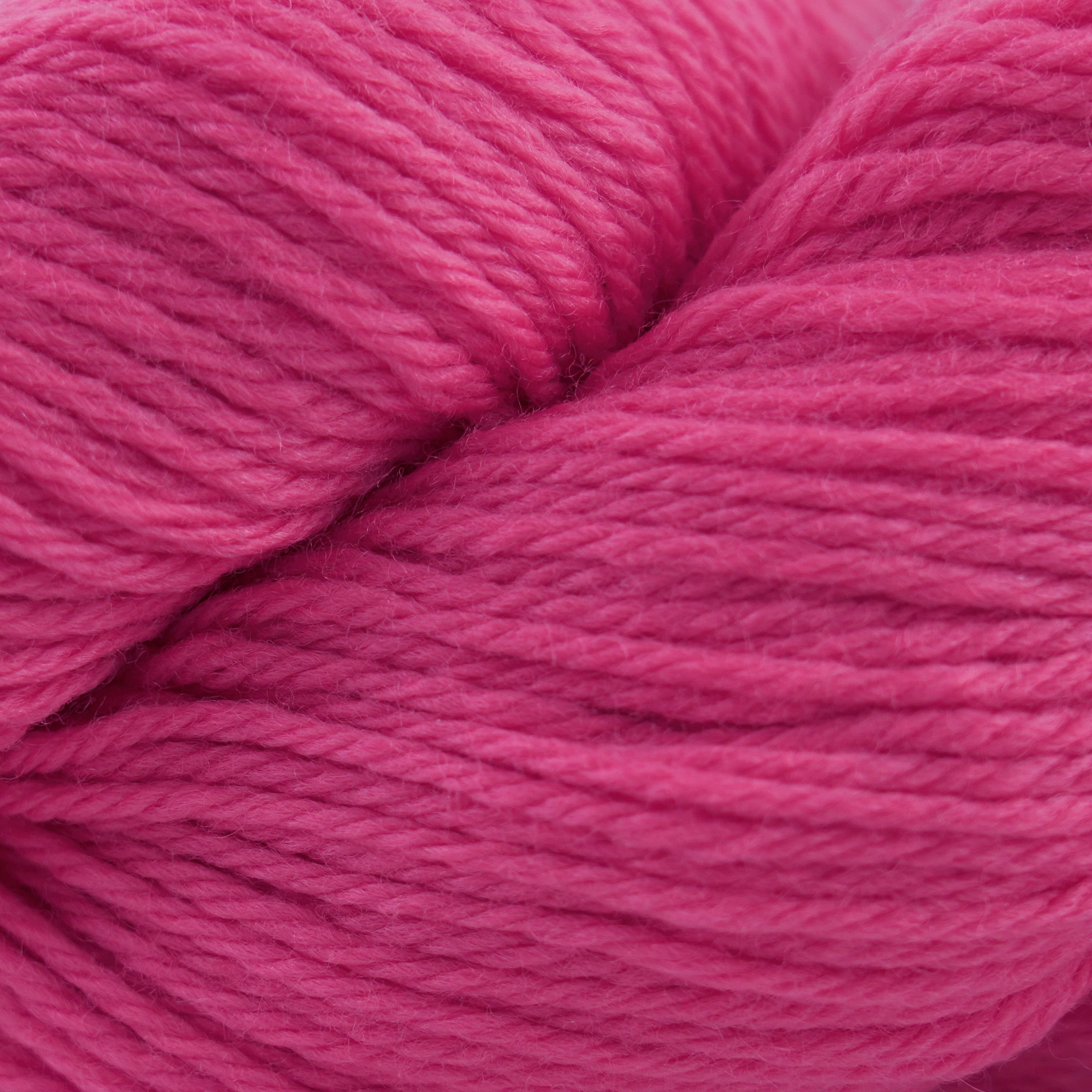 Cascade 220 (8500-9999)