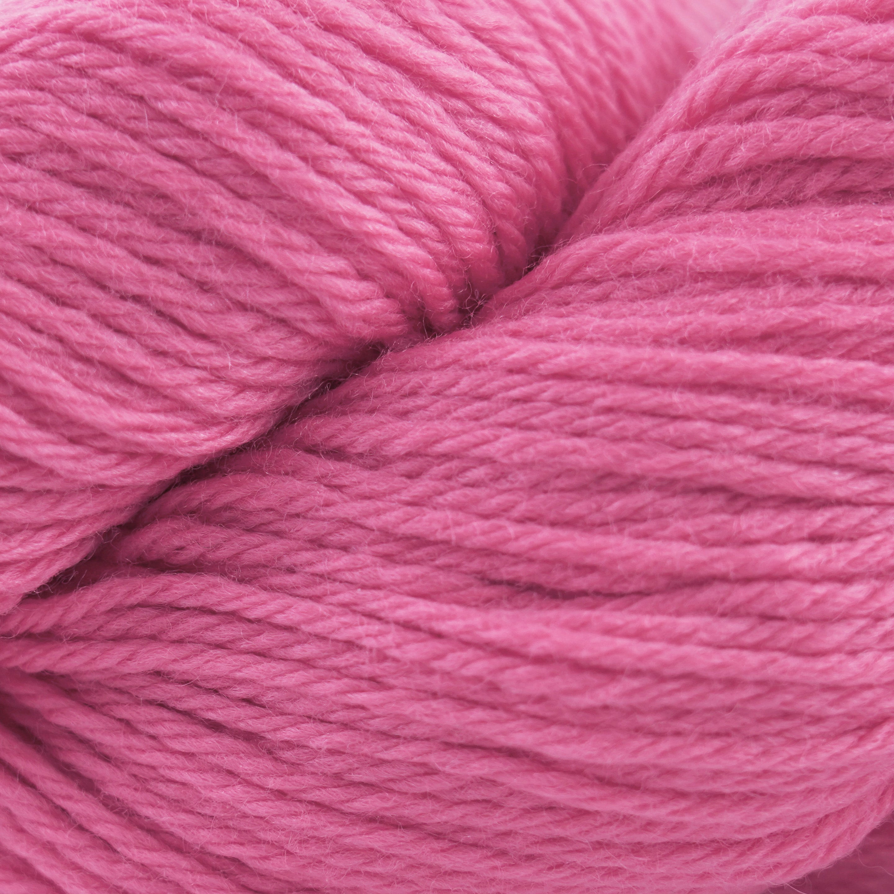 Cascade 220 (8500-9999)