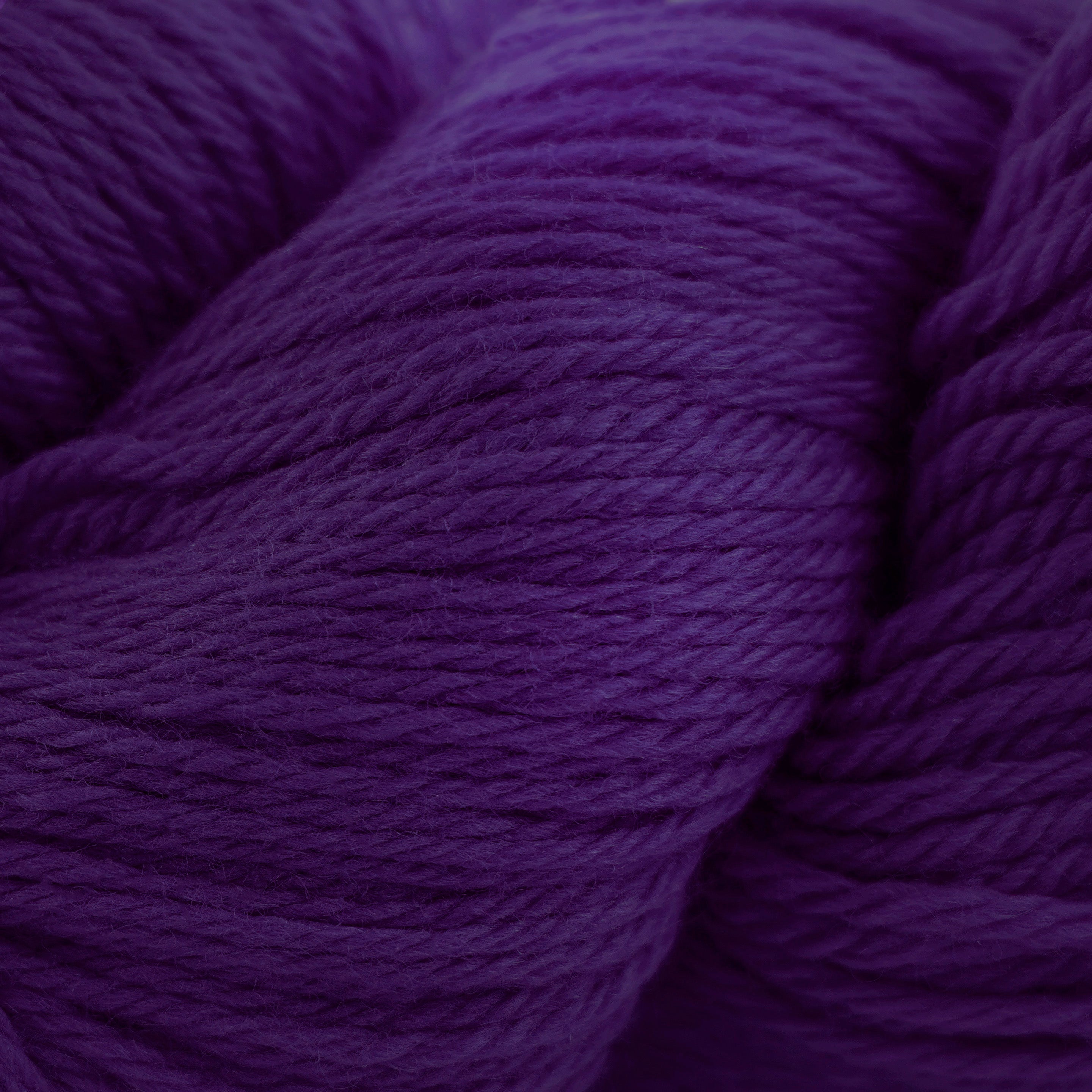 Cascade 220 (8500-9999)