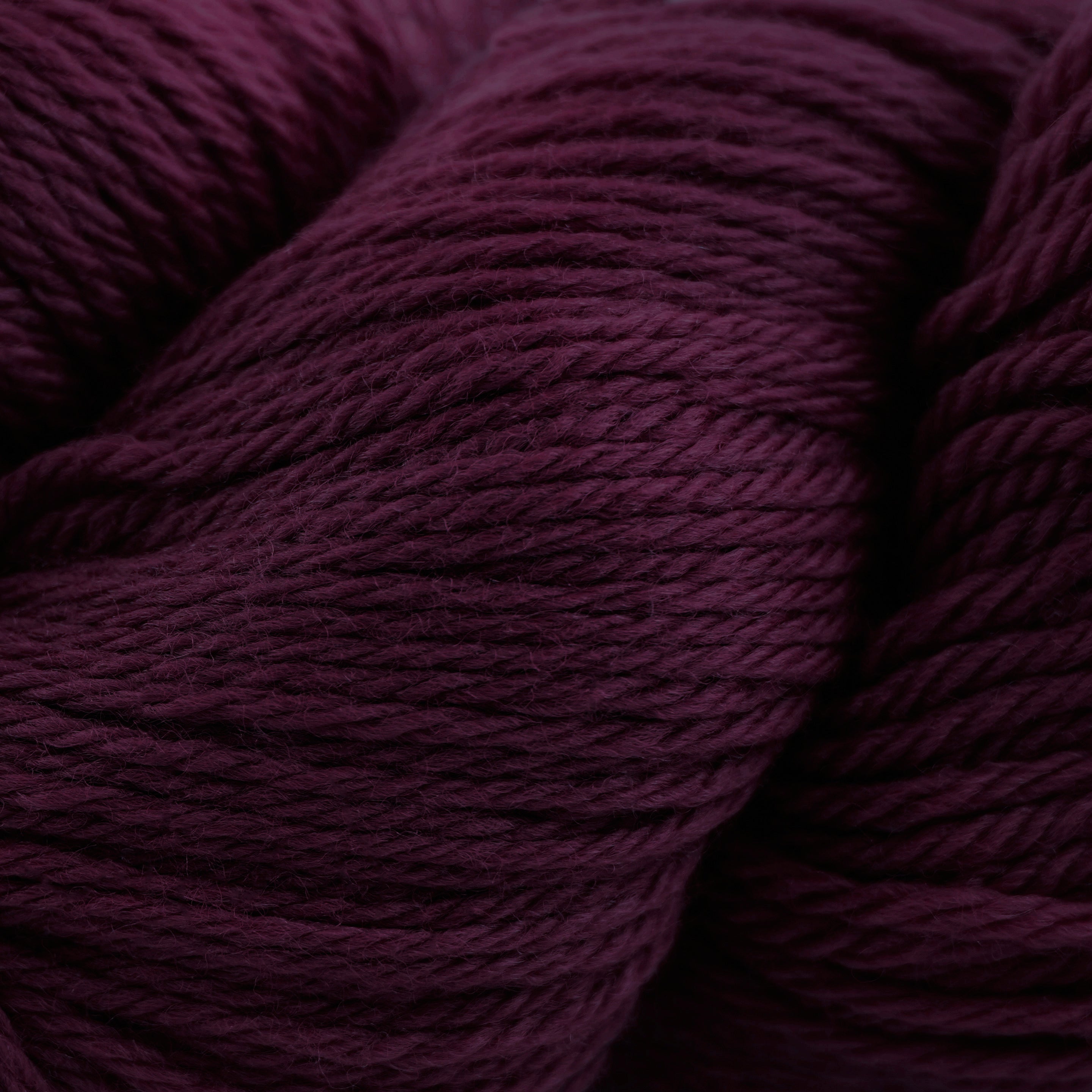 Cascade 220 (8500-9999)