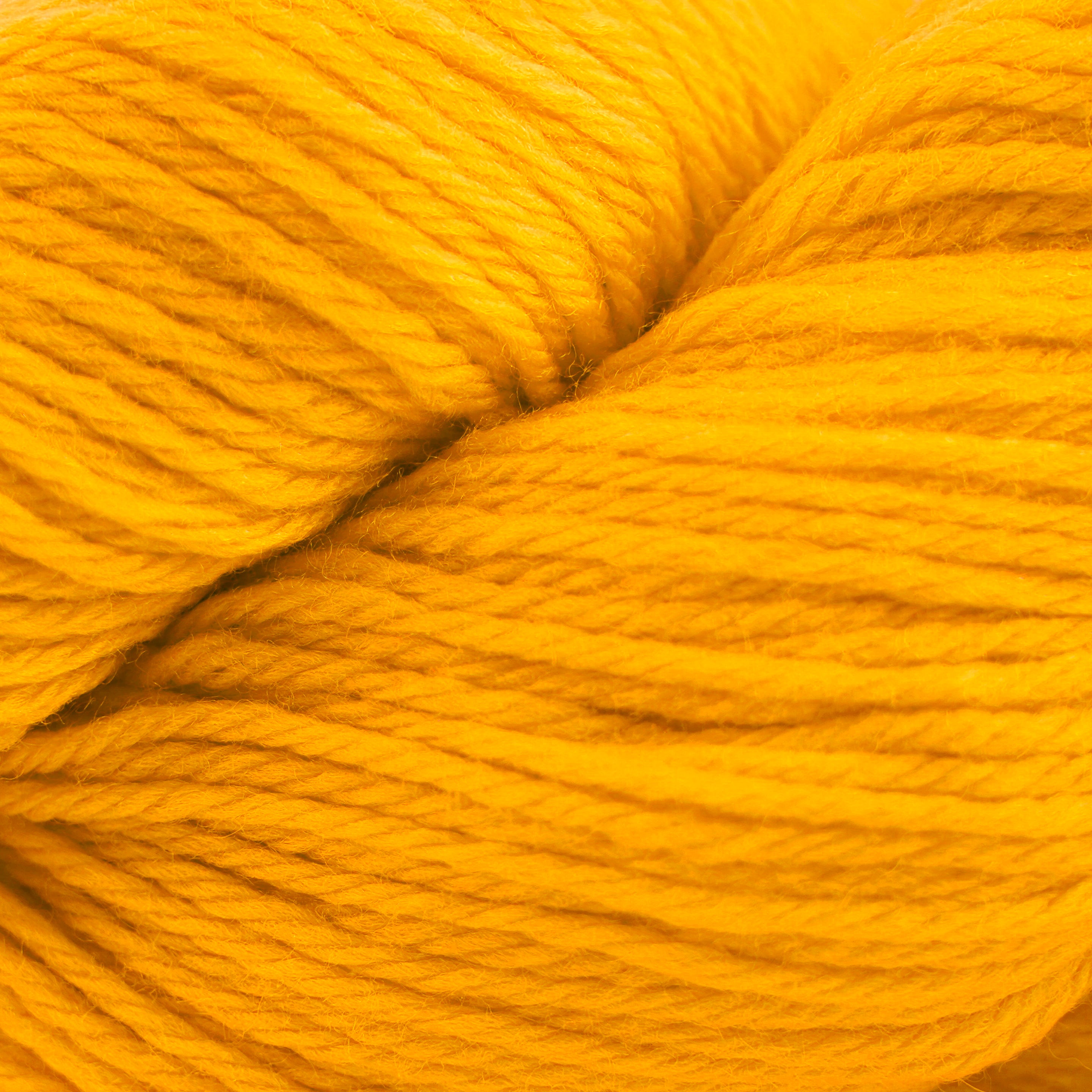 Cascade 220 (8500-9999)
