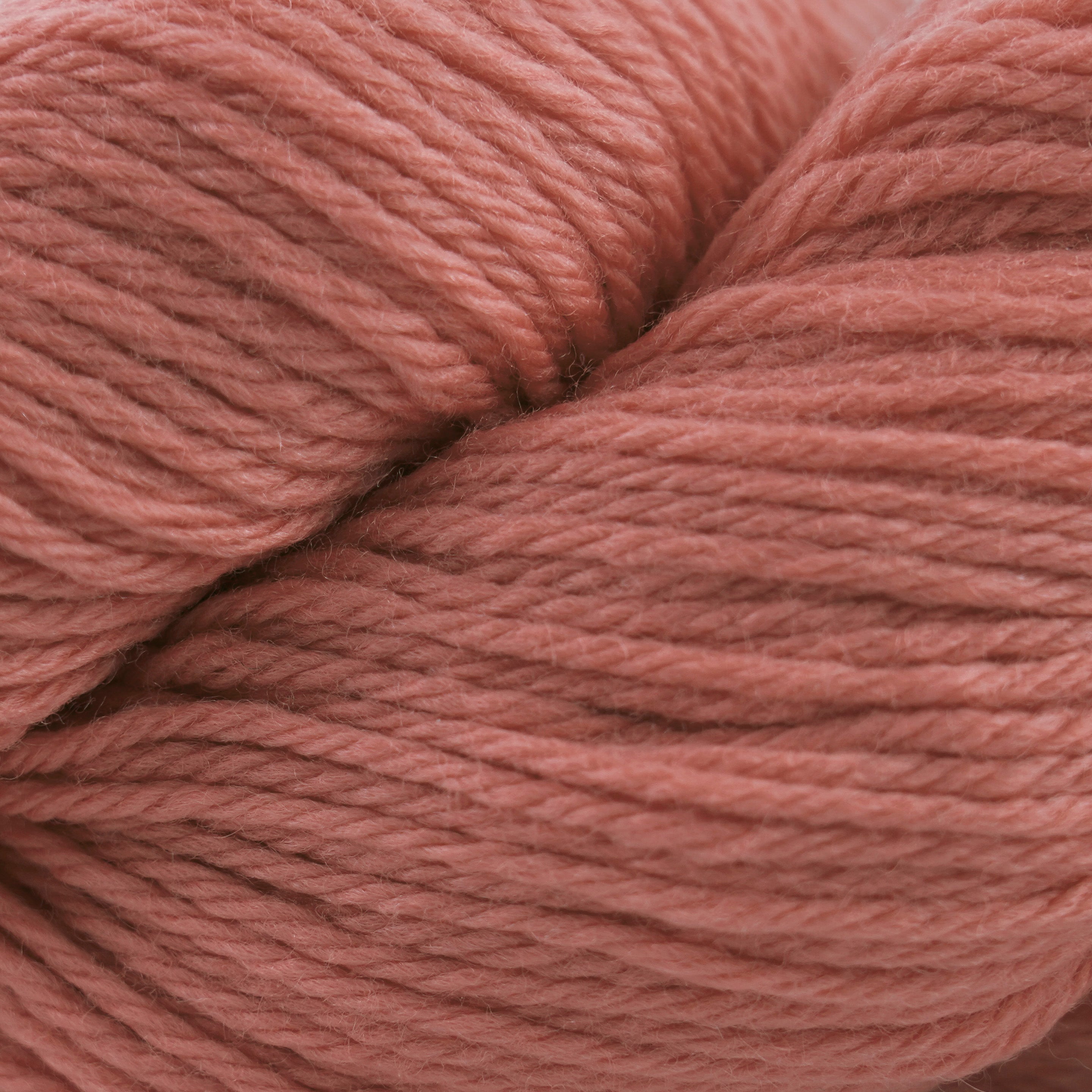 Cascade 220 (8500-9999)