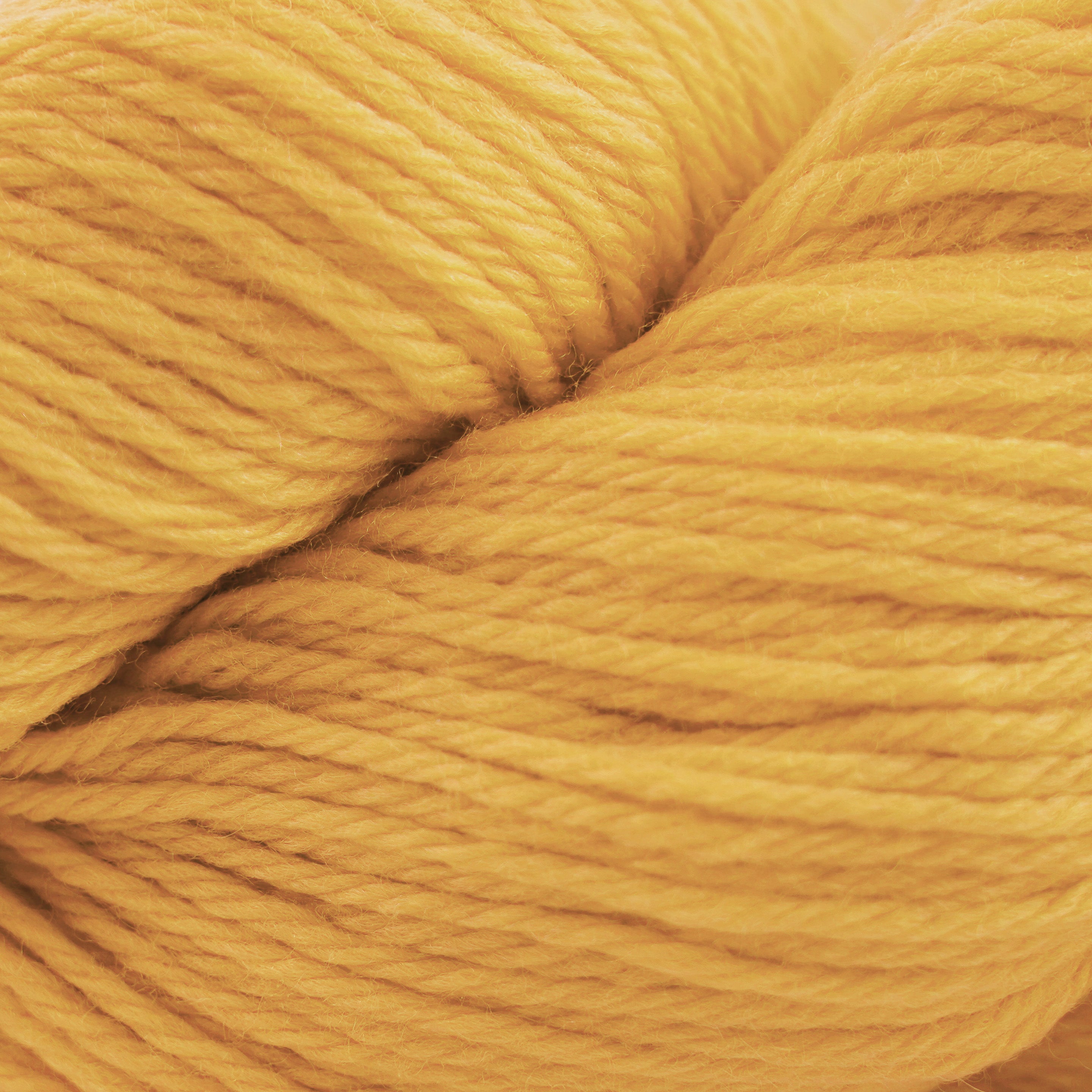 Cascade 220 (8500-9999)