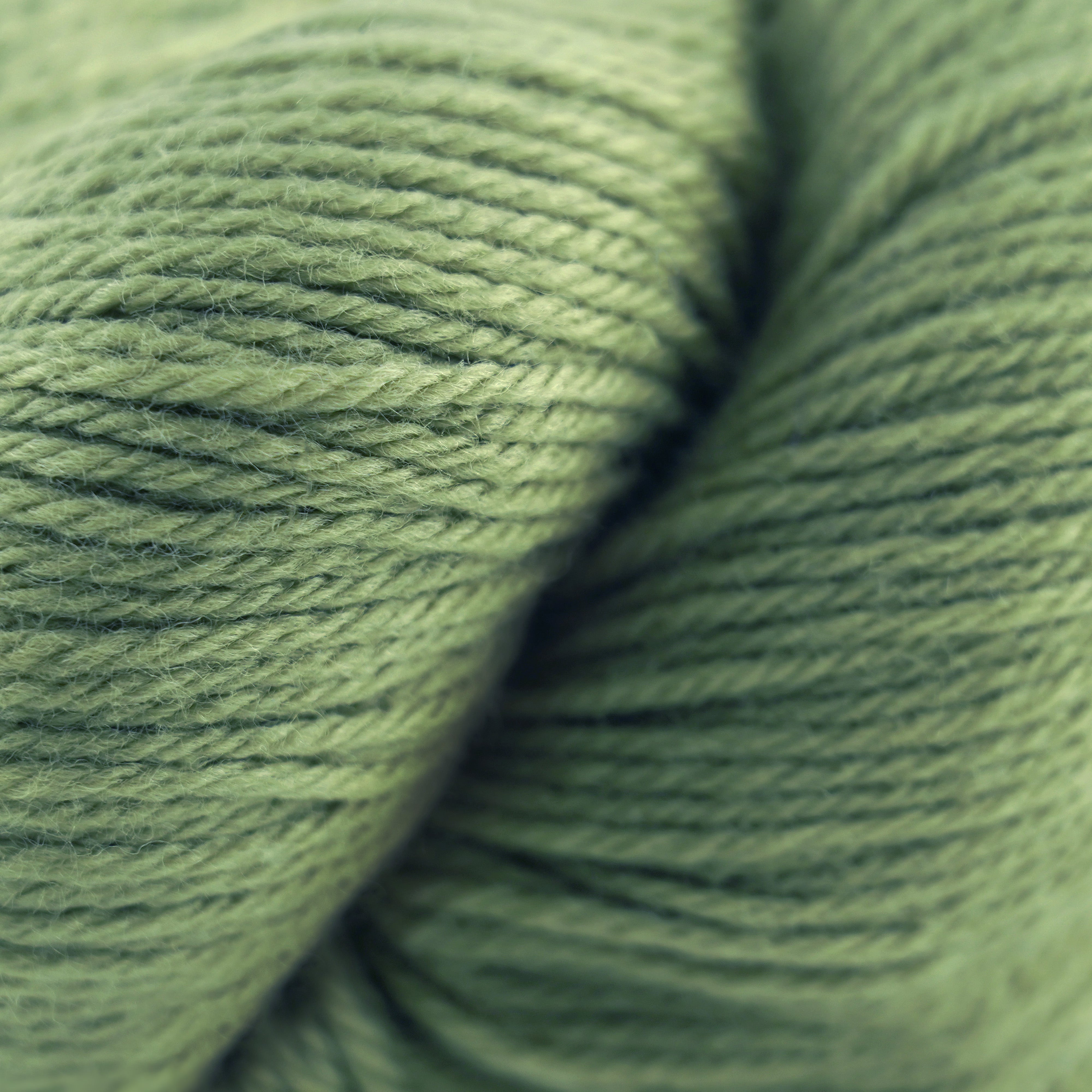 Cascade 220 (8500-9999)