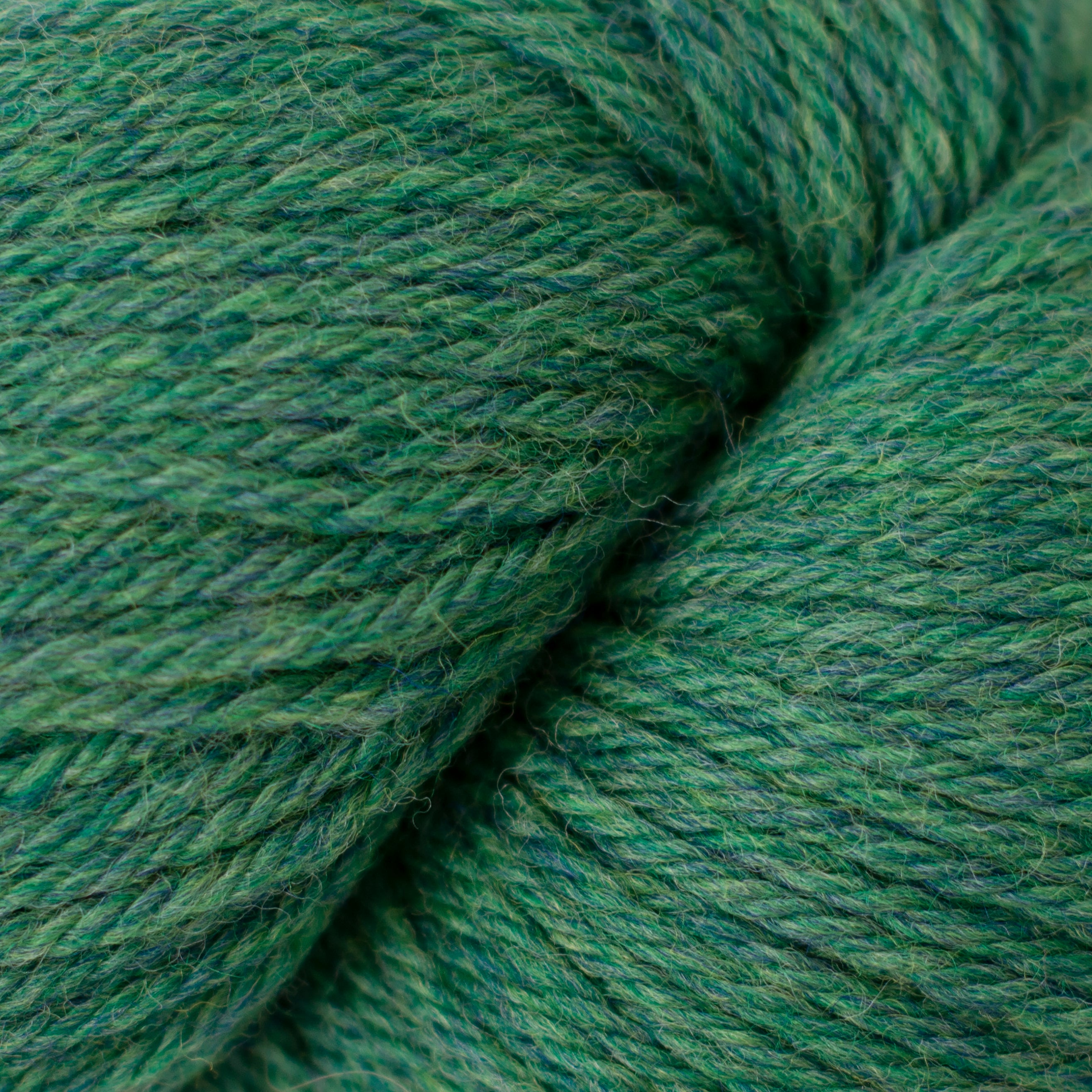 Cascade 220 (8500-9999)
