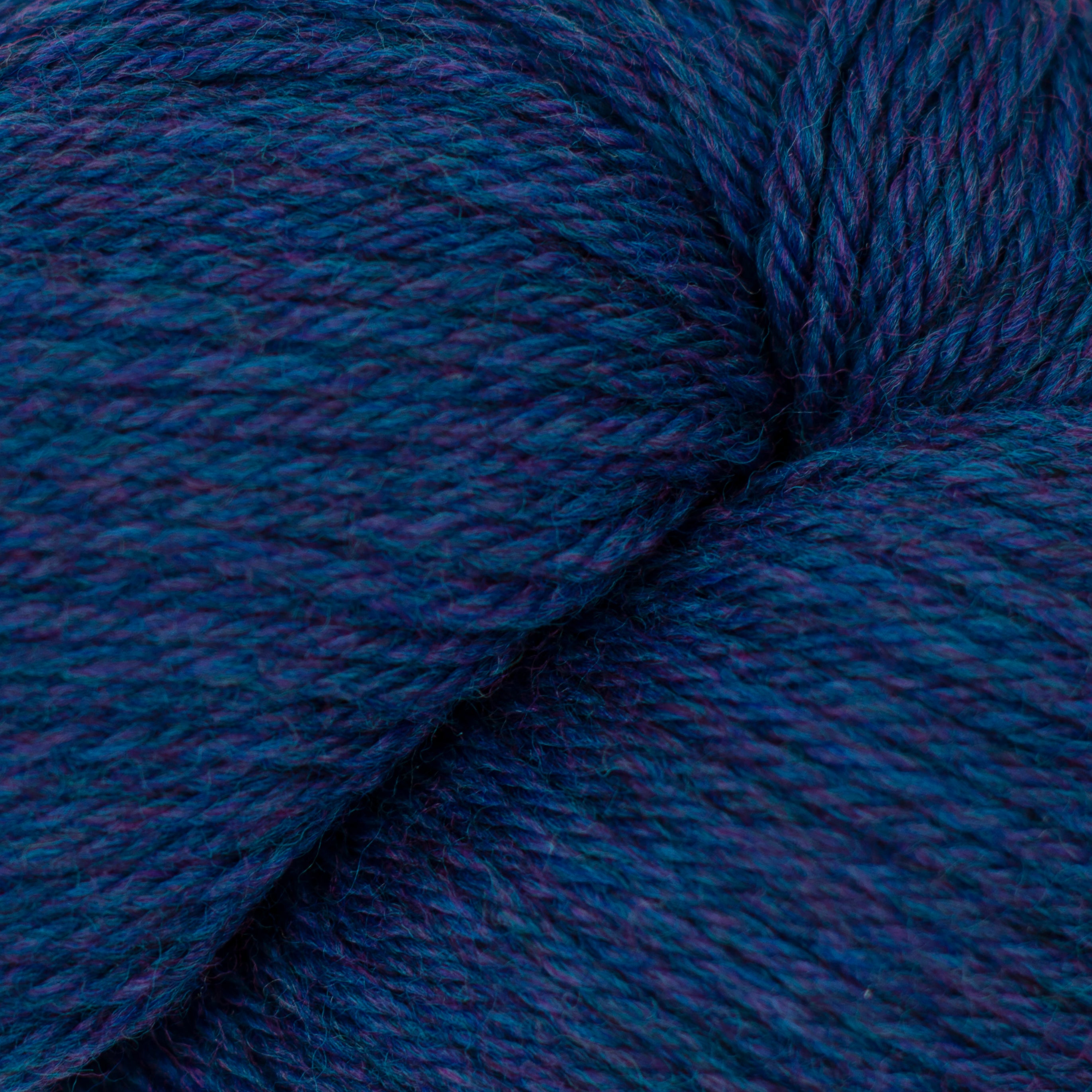 Cascade 220 (8500-9999)
