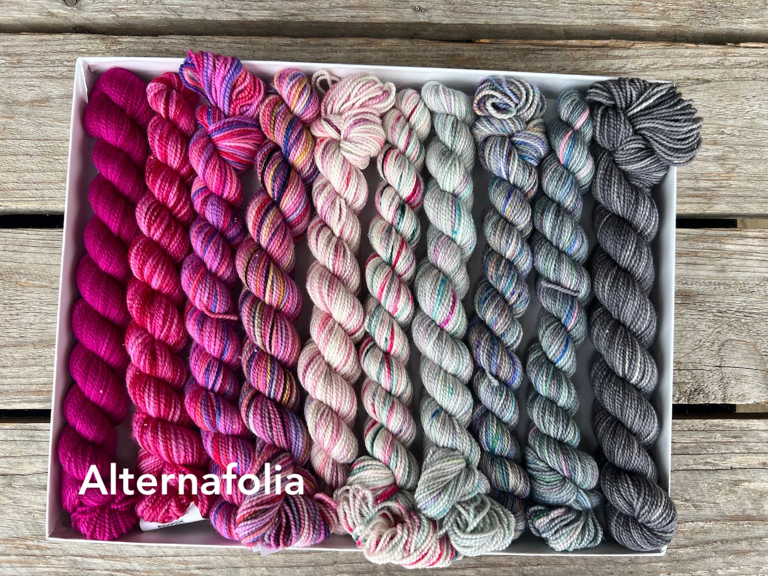 Eremophila Shawl Kit