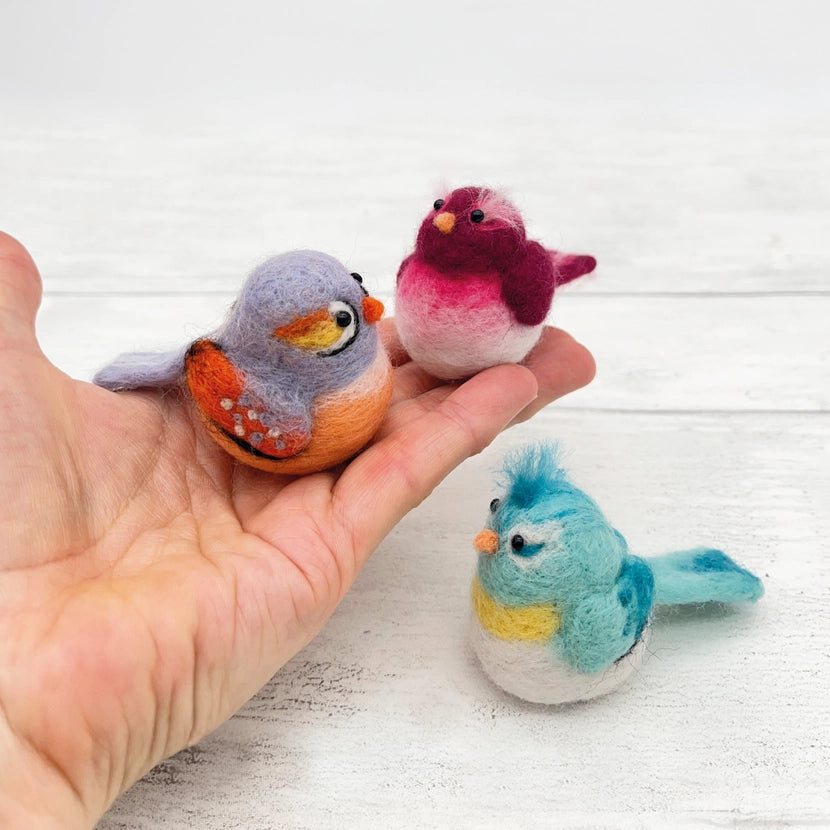 Bergin & Bath Needle Felting Kit (Baby Birds)