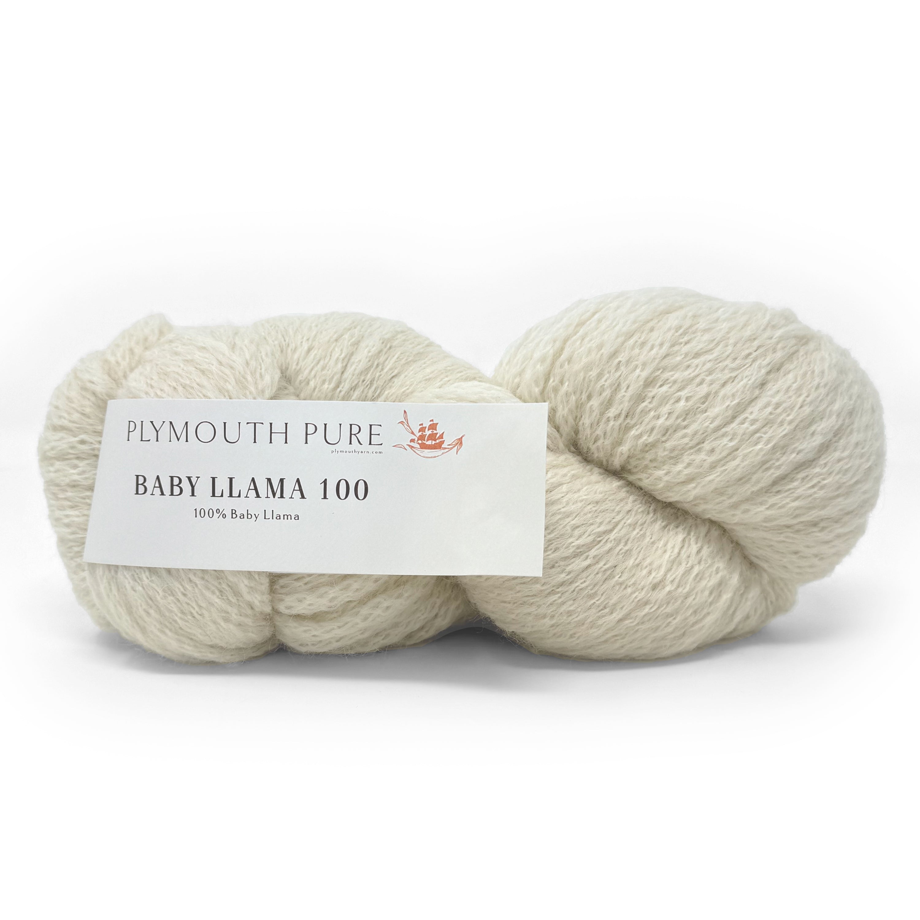Baby Llama 100