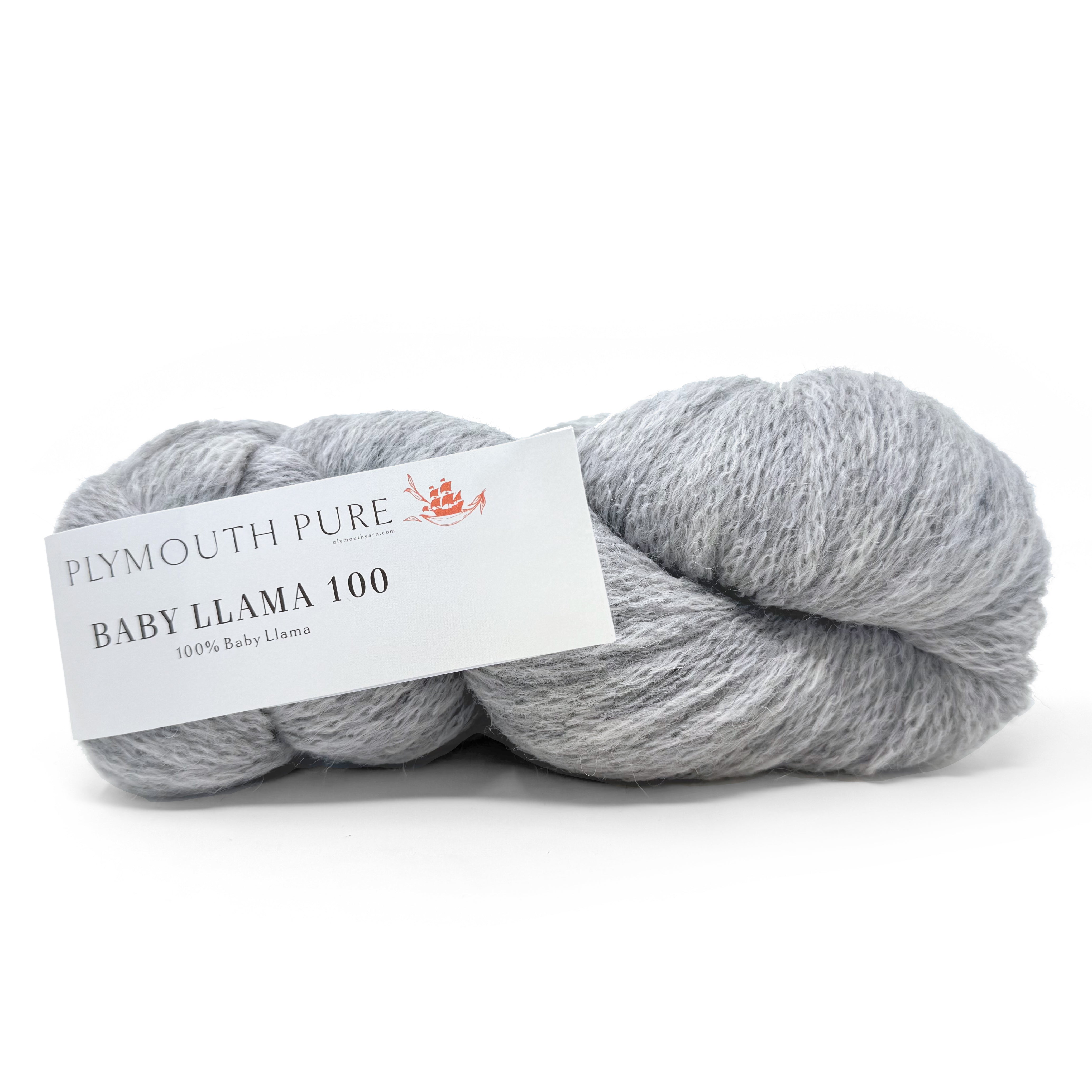 Baby Llama 100