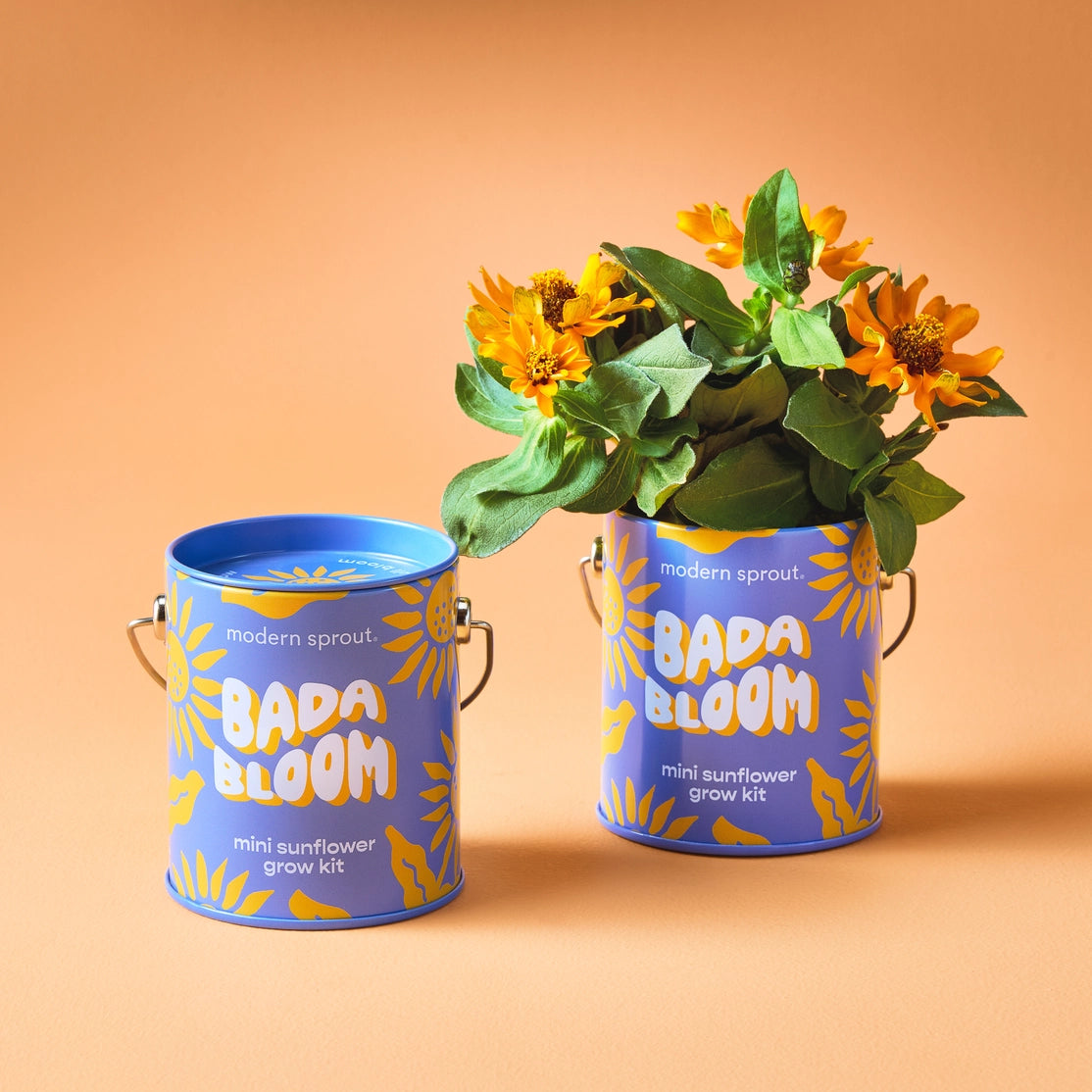 Modern Sprout Grow Kits