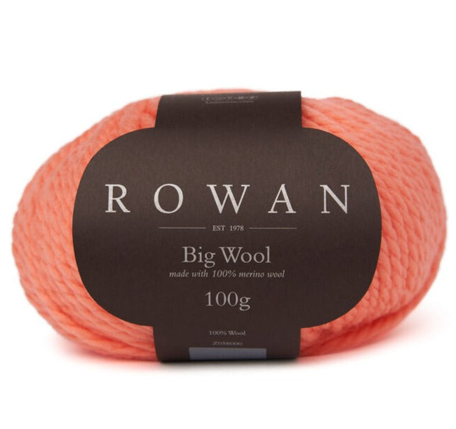 Pumpkin Kit - Big Wool