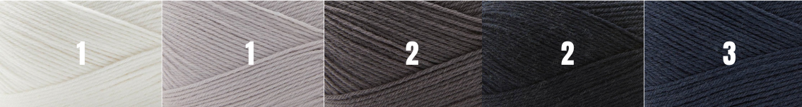Aranami Shawl Kit