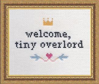 Subversive Cross Stitch Kits