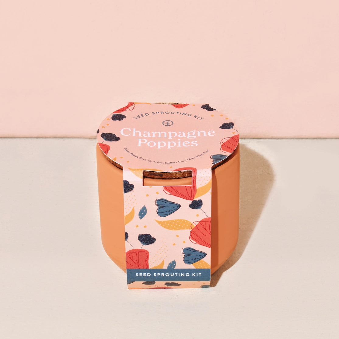 Modern Sprout Terracotta Seed Sprouting Kits