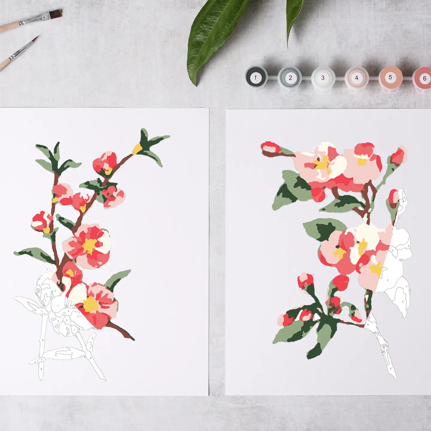 Cate Paper Paint by Numbers Kits