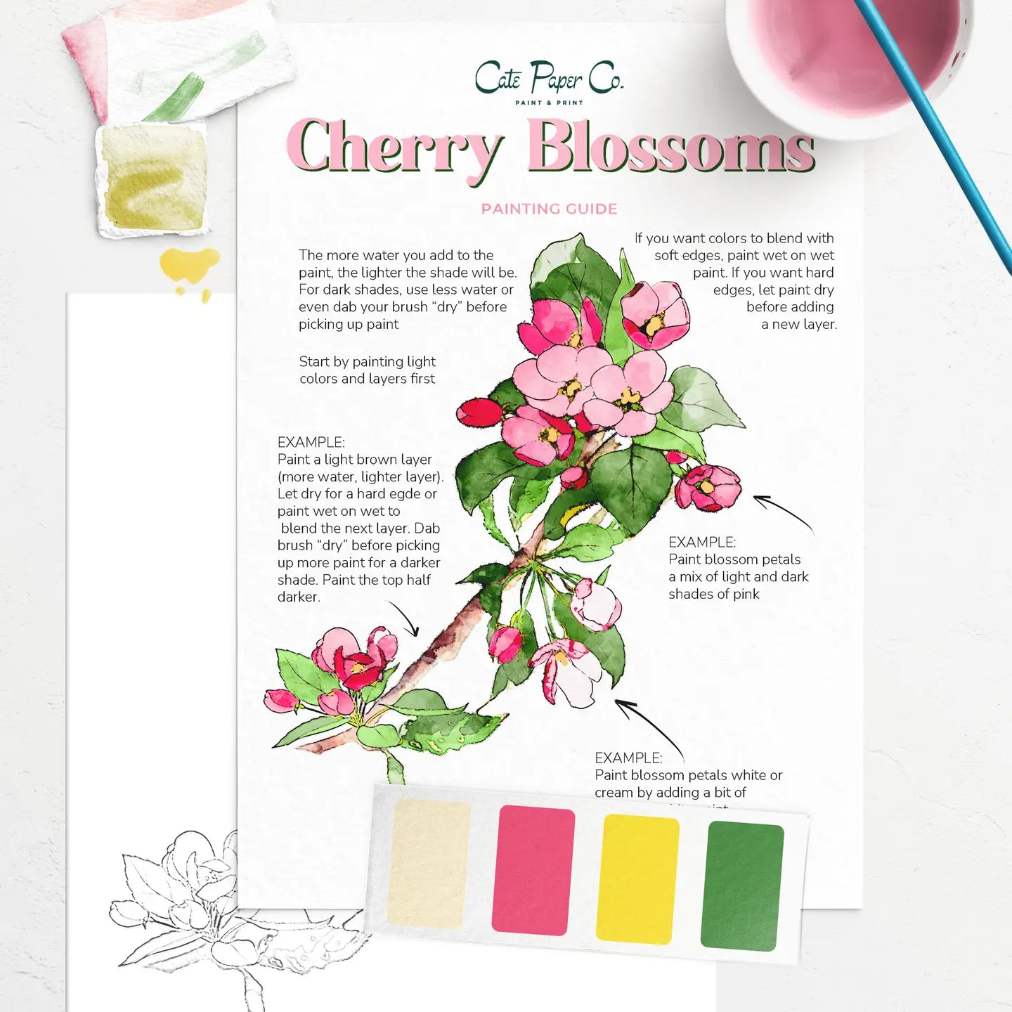 Cate Paper Watercolor Painting Kits (Beginner)