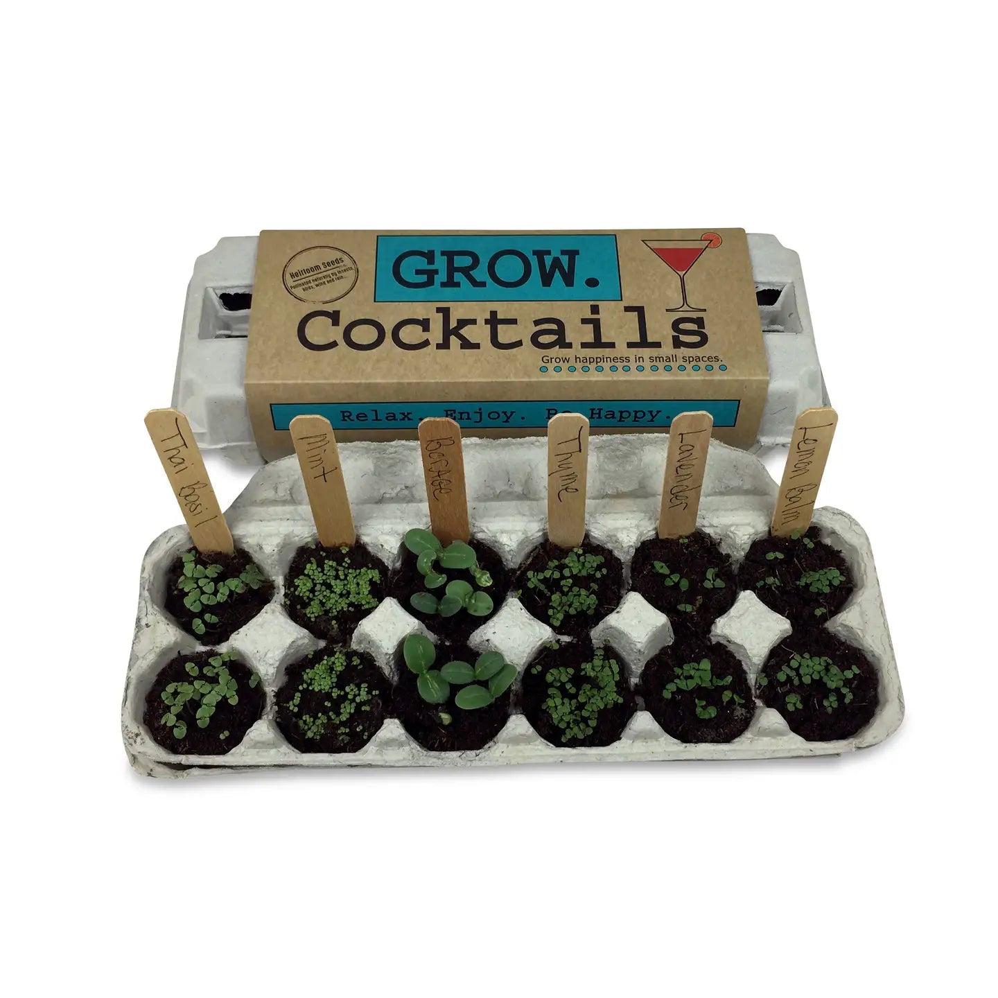 Backyard Safari Co. Grow Kits