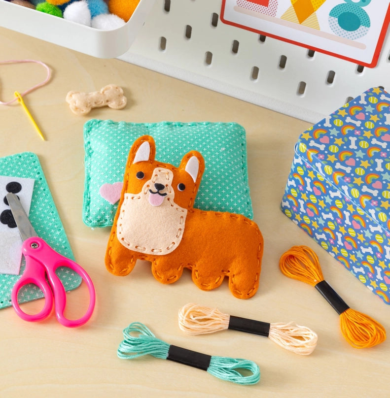 Pocket Pet Mini Craft Kit
