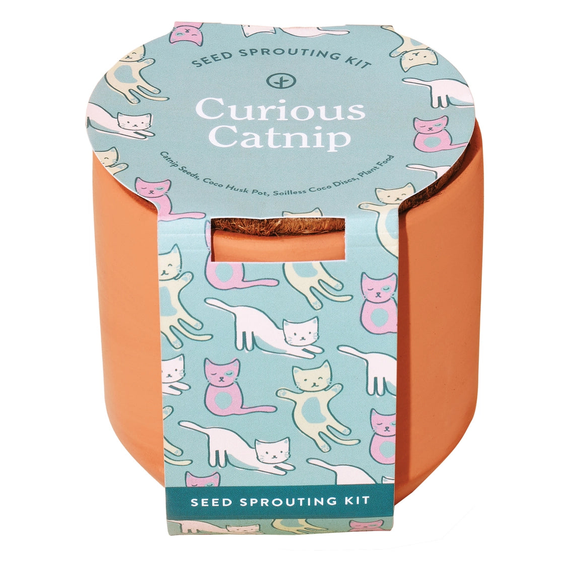Modern Sprout Terracotta Seed Sprouting Kits