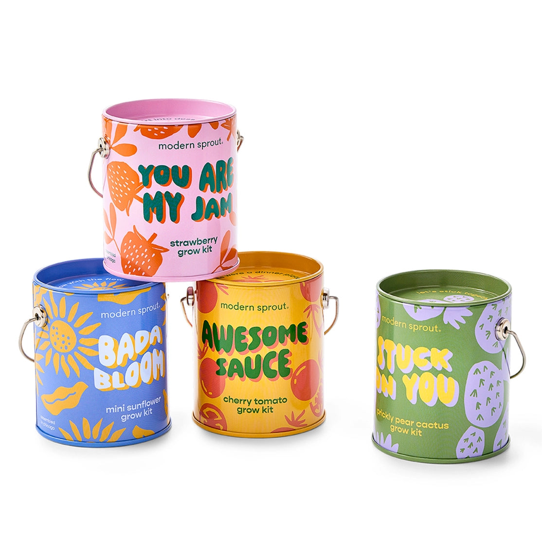 Modern Sprout Grow Kits