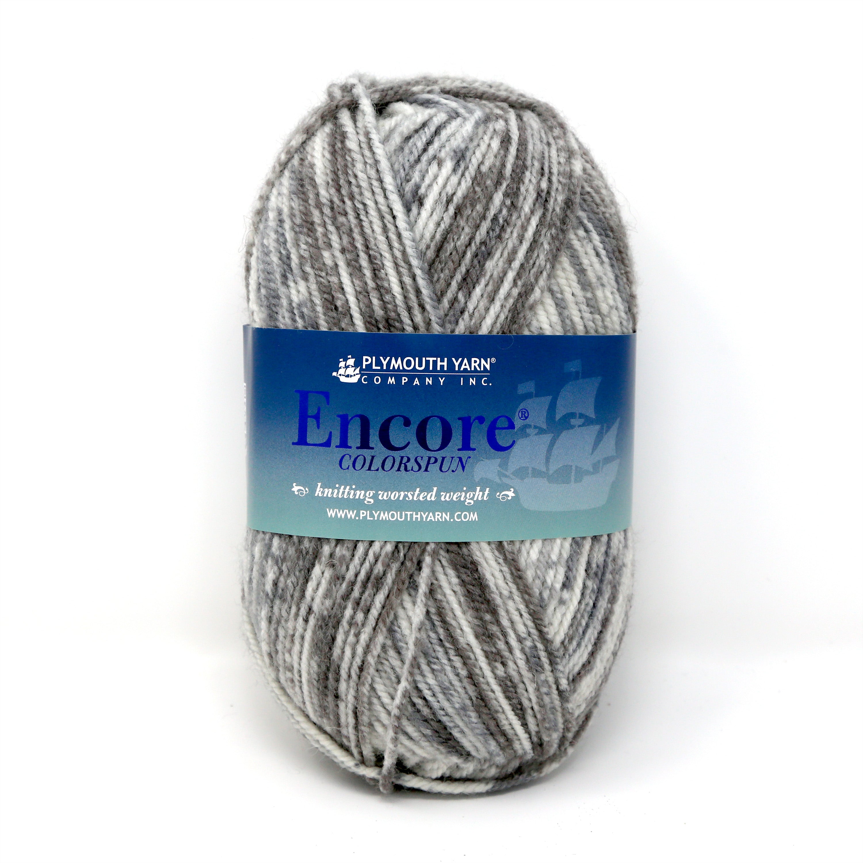 Encore Colorspun Worsted