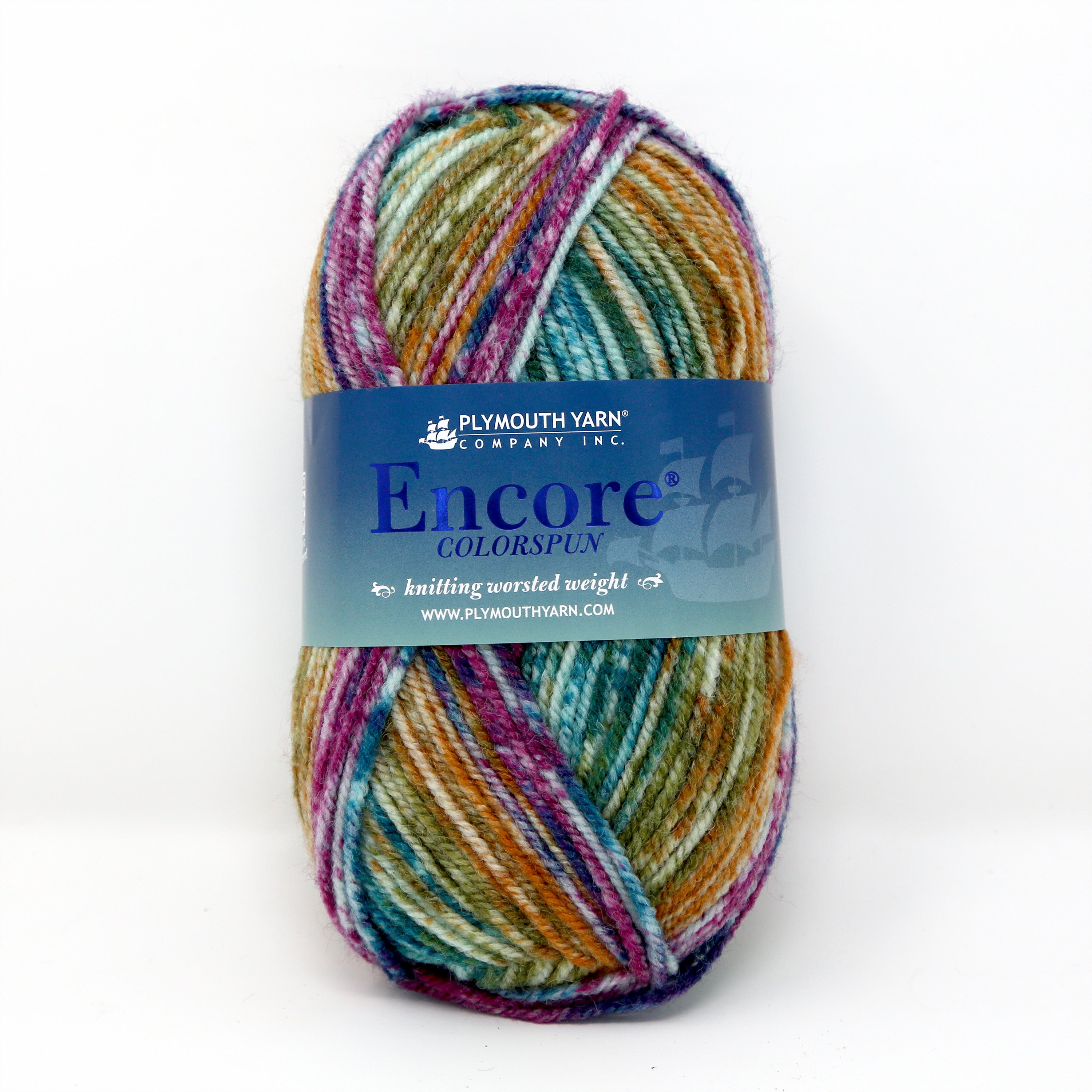 Encore Colorspun Worsted