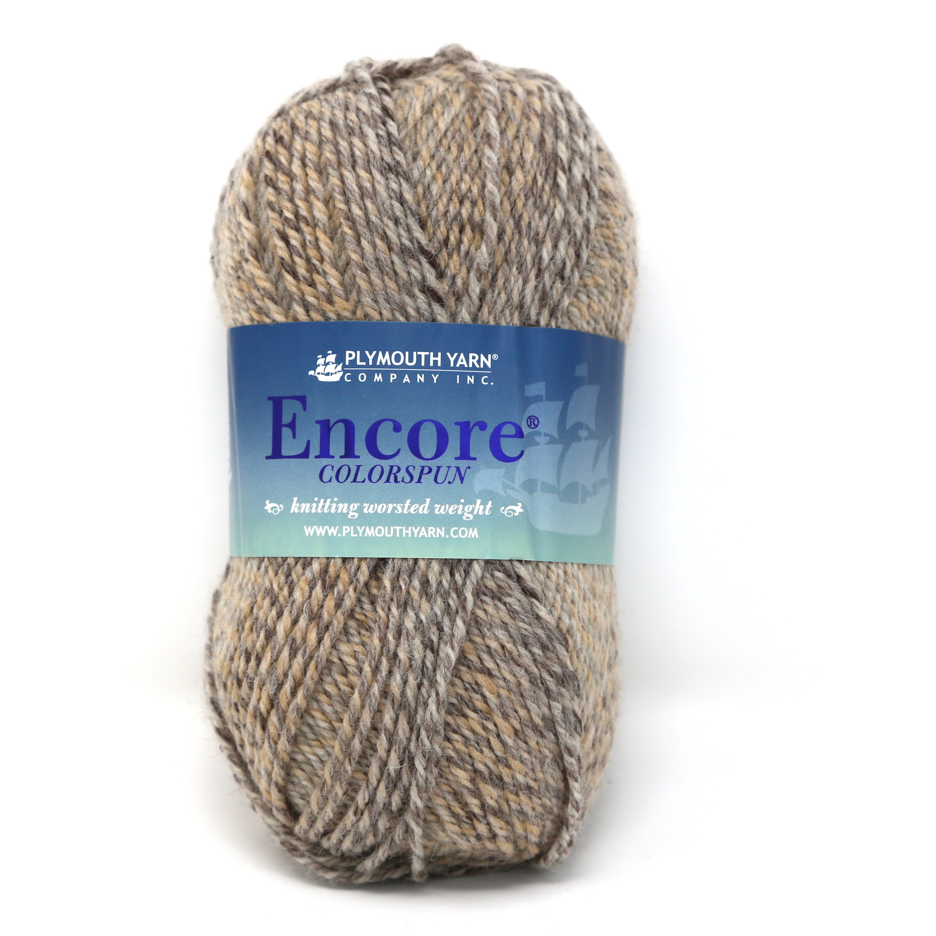 Encore Colorspun Worsted