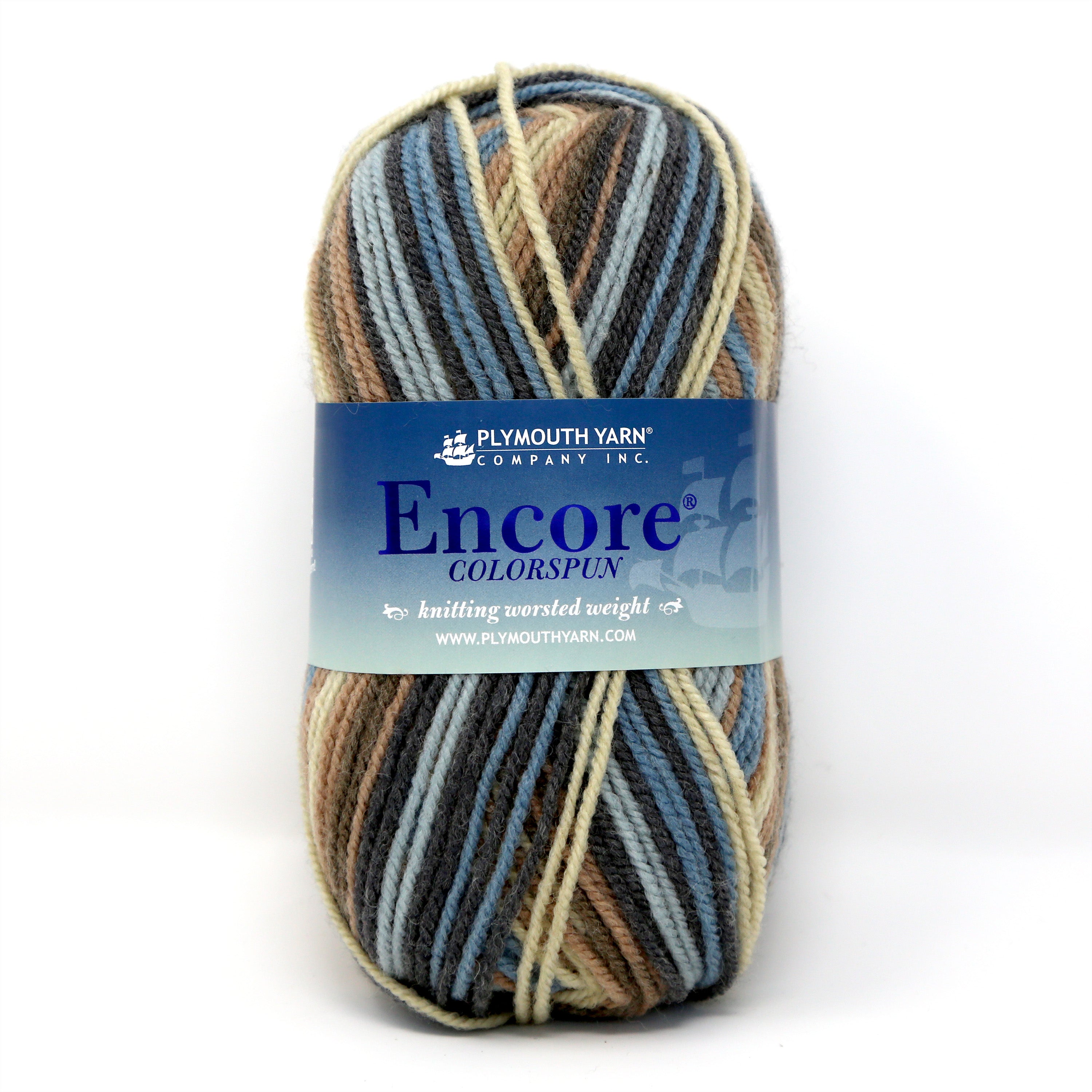 Encore Colorspun Worsted