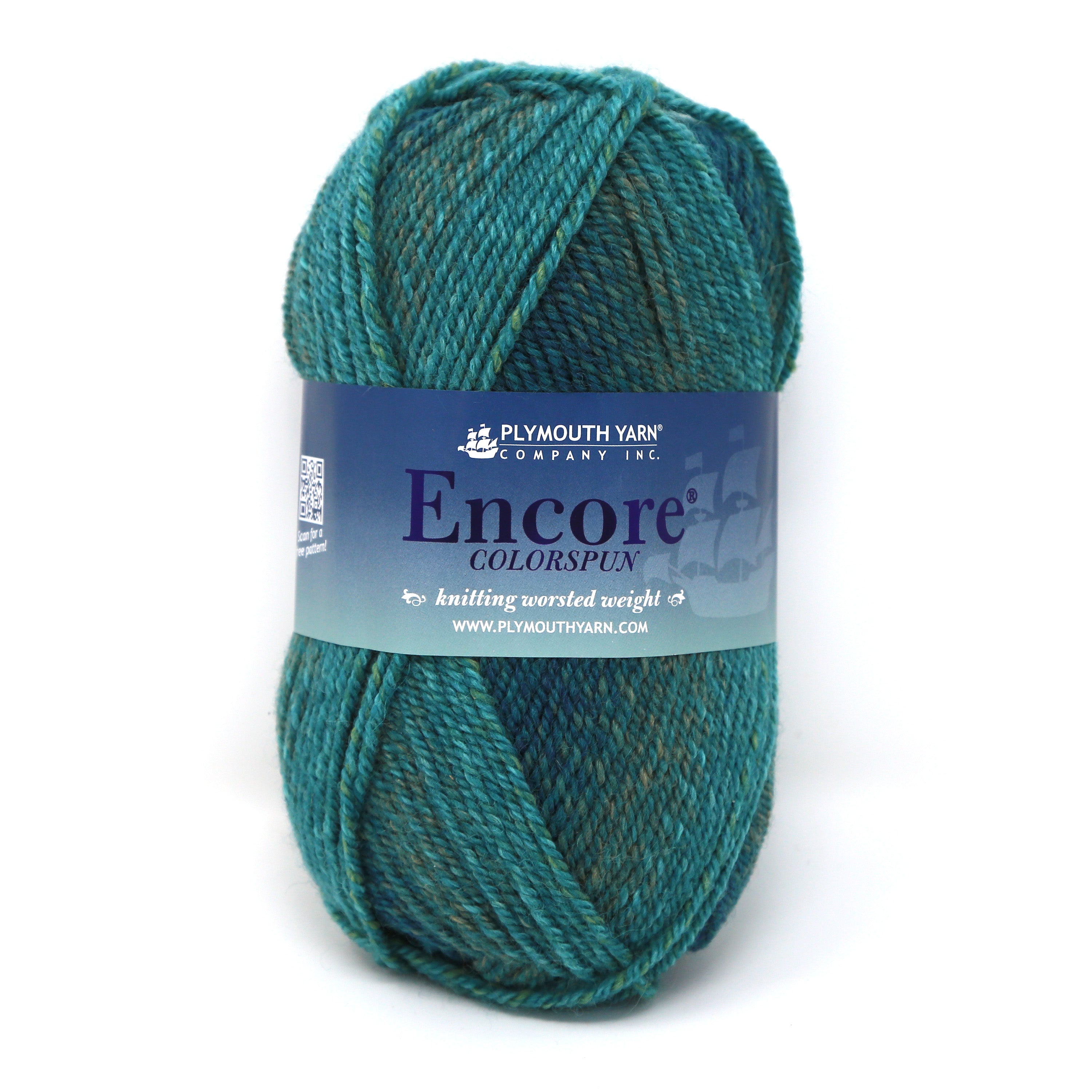Encore Colorspun Worsted